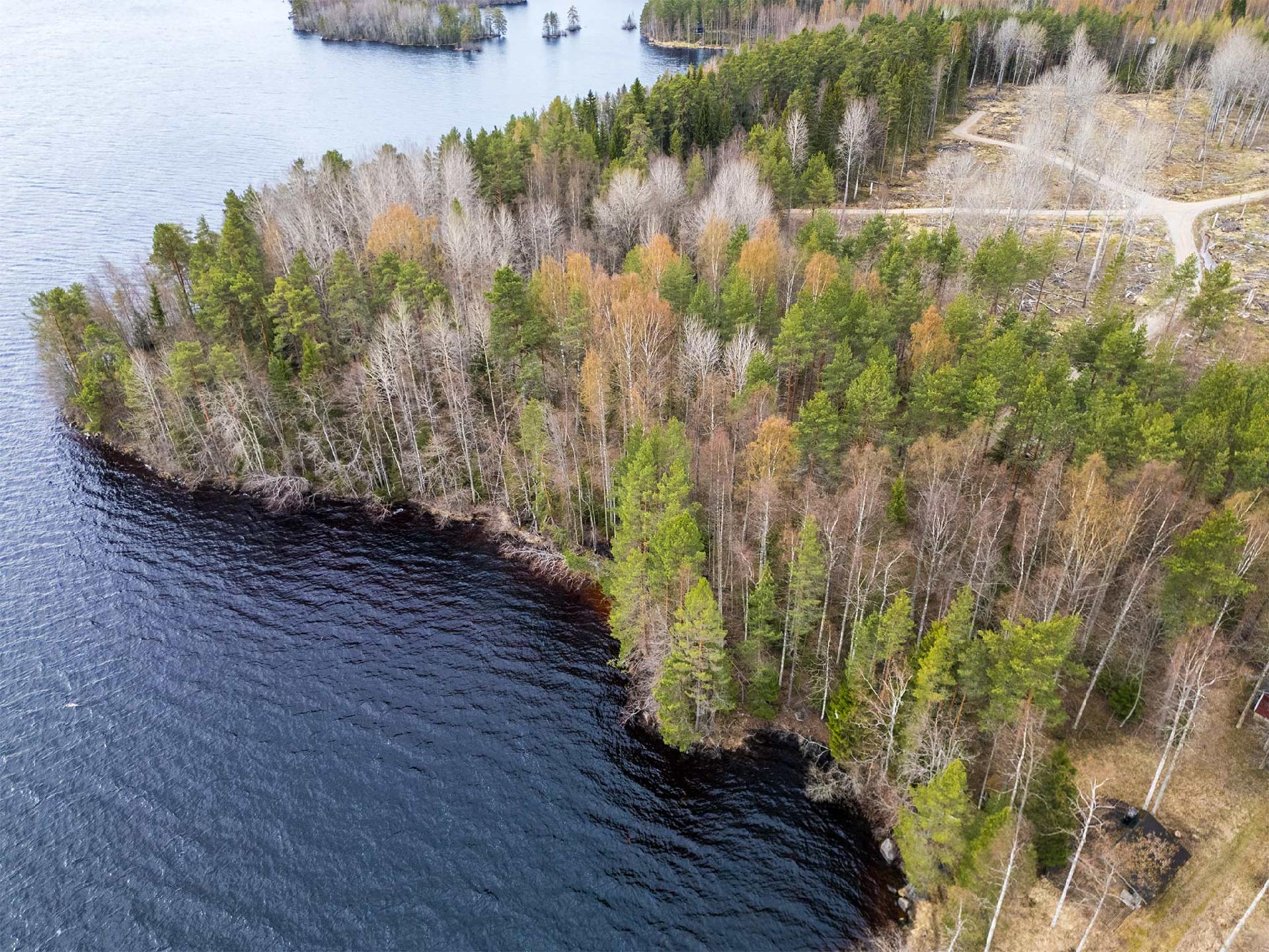 Niemenkyläntie 466 A, Kolho, Mänttä-Vilppula