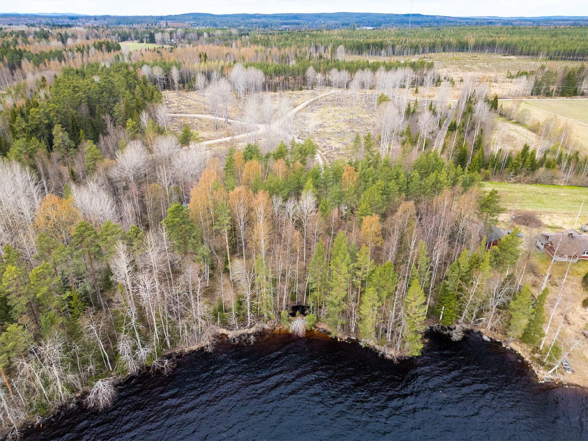 Niemenkyläntie 466 A, Kolho, Mänttä-Vilppula