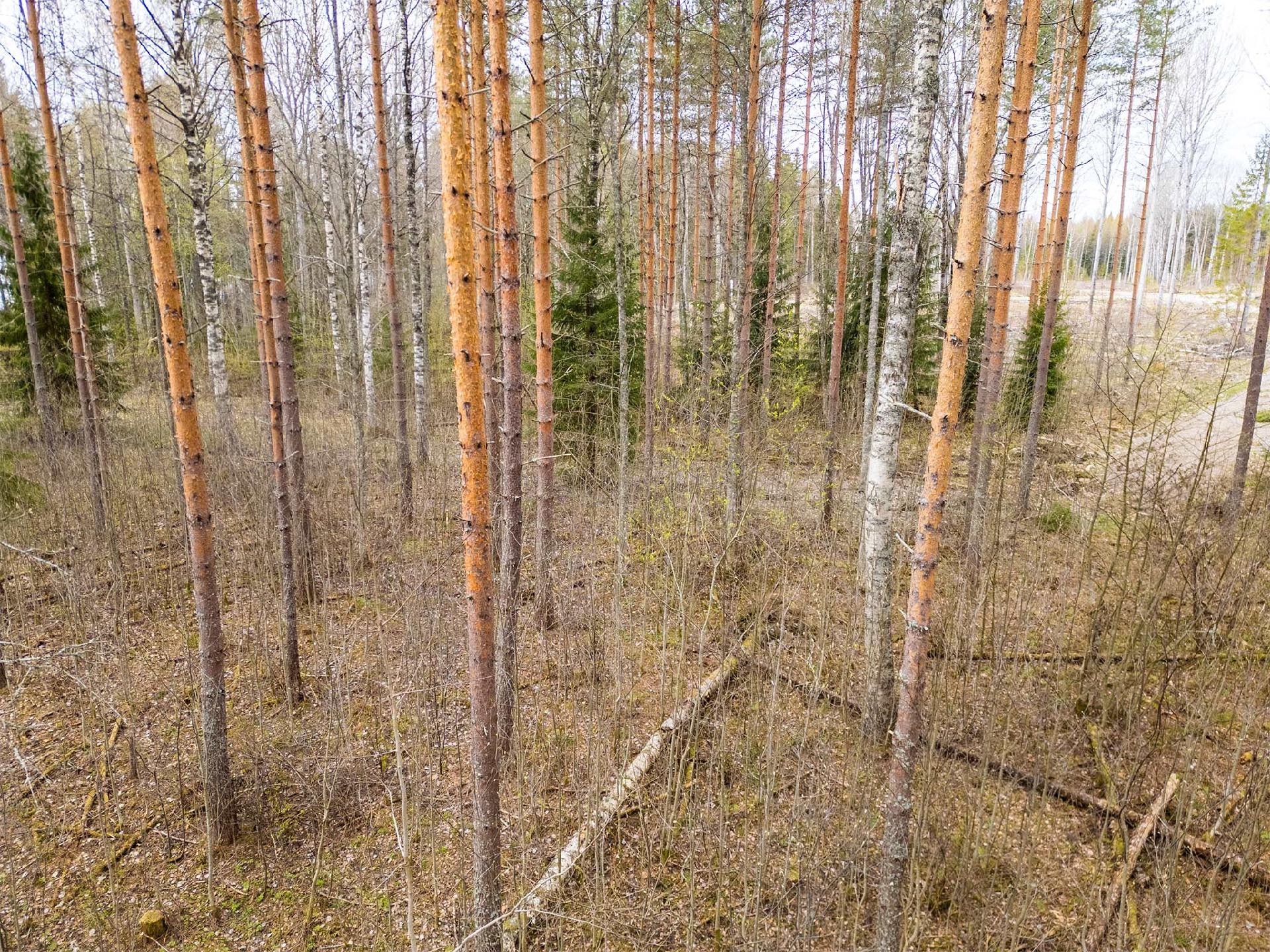 Niemenkyläntie 466 A, Kolho, Mänttä-Vilppula