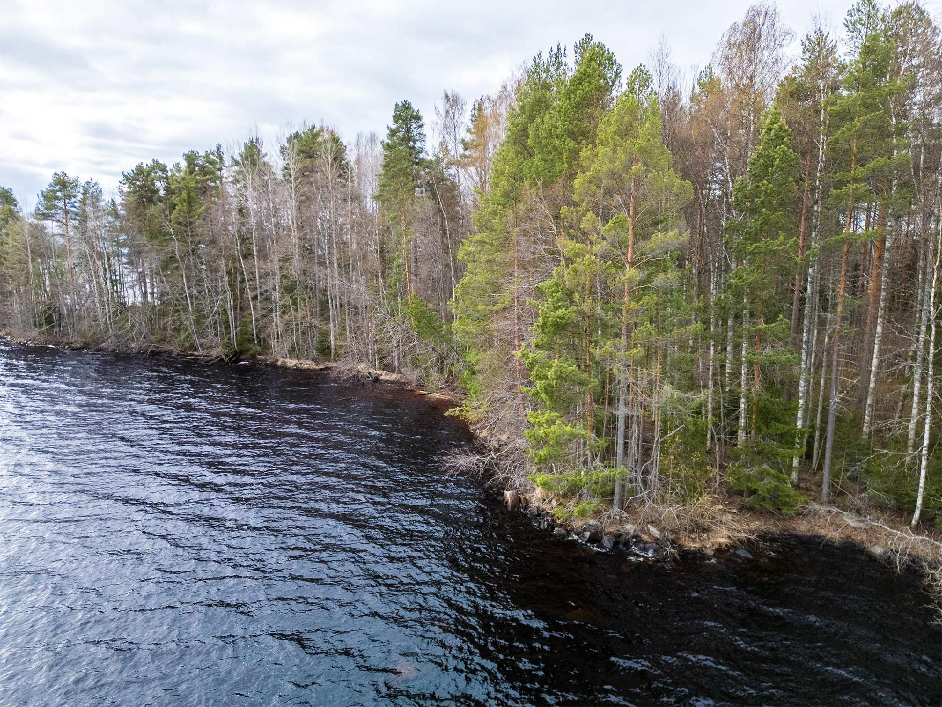 Niemenkyläntie 466 A, Kolho, Mänttä-Vilppula