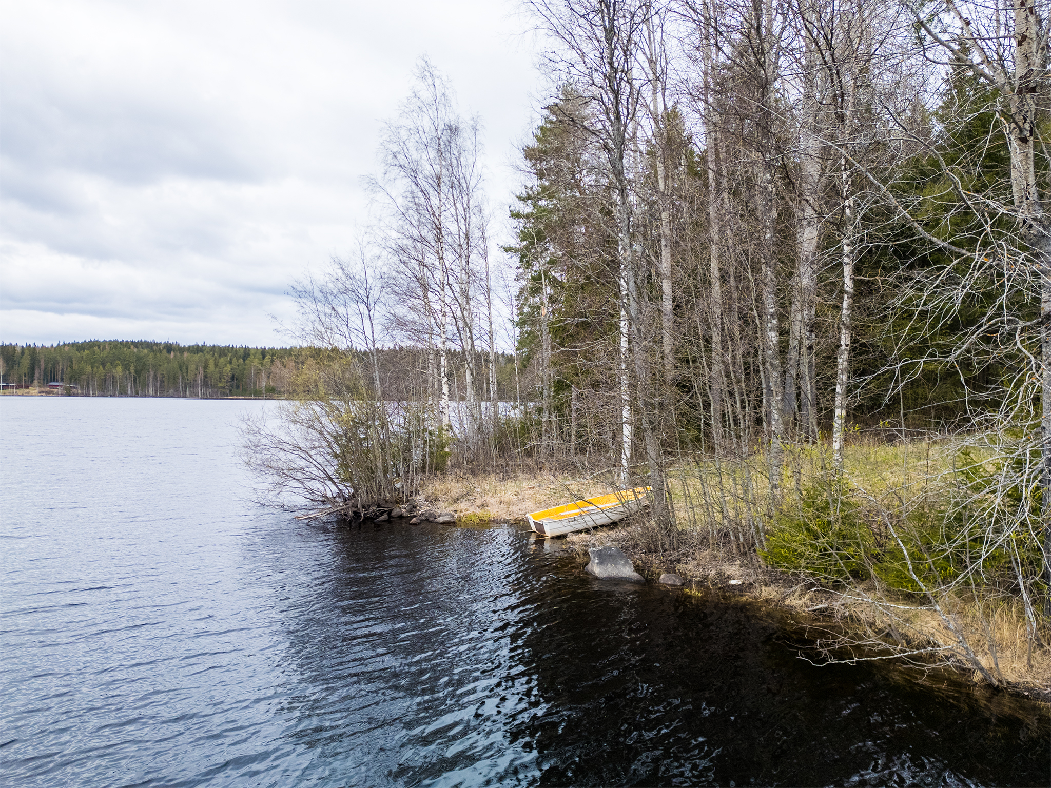 Peltoniementie -, Kolho, Mänttä-Vilppula