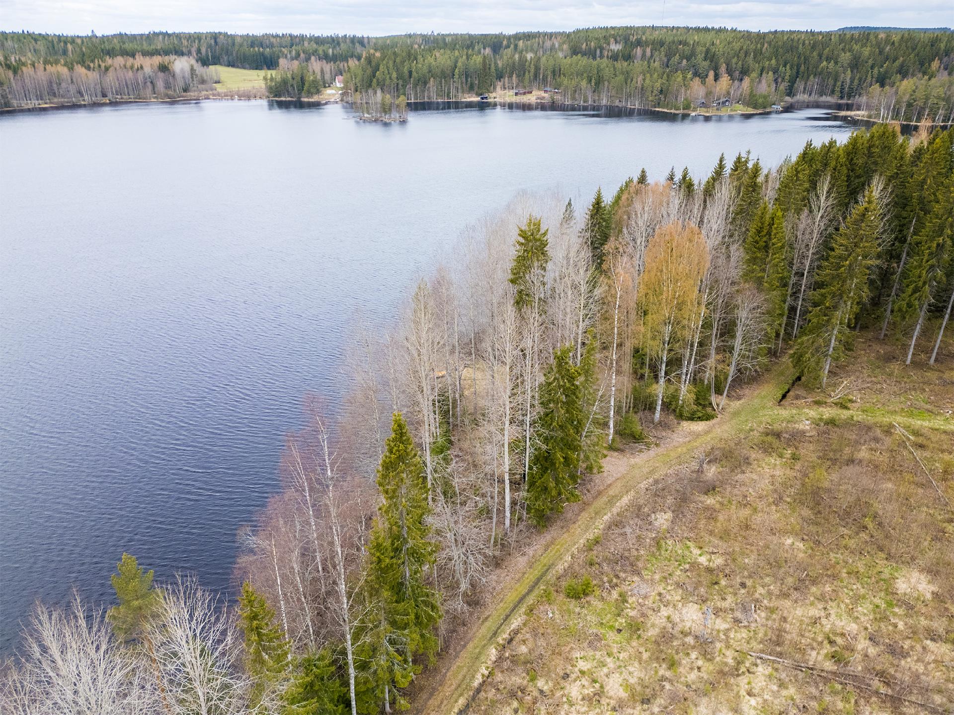 Peltoniementie -, Kolho, Mänttä-Vilppula