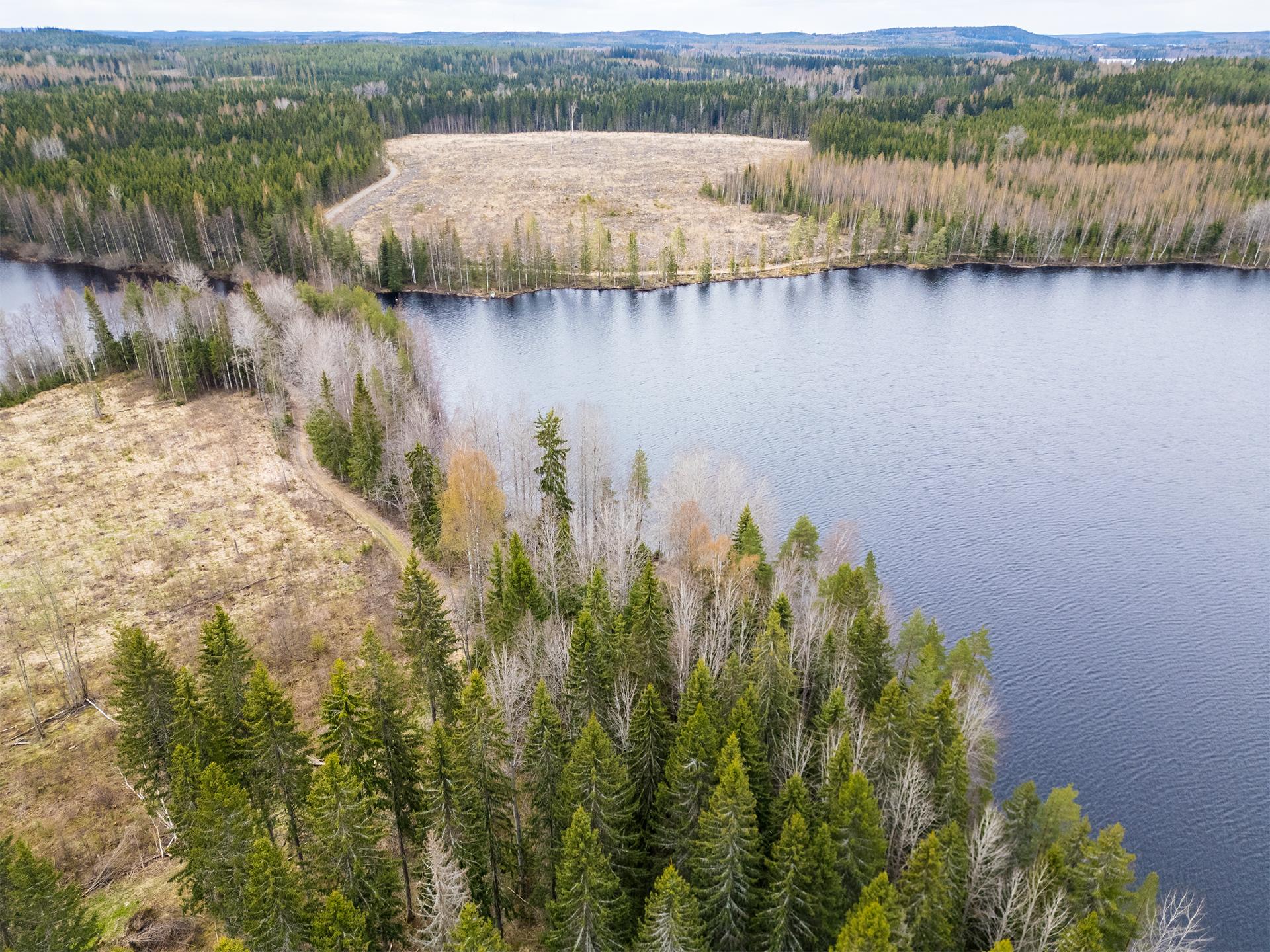 Peltoniementie -, Kolho, Mänttä-Vilppula