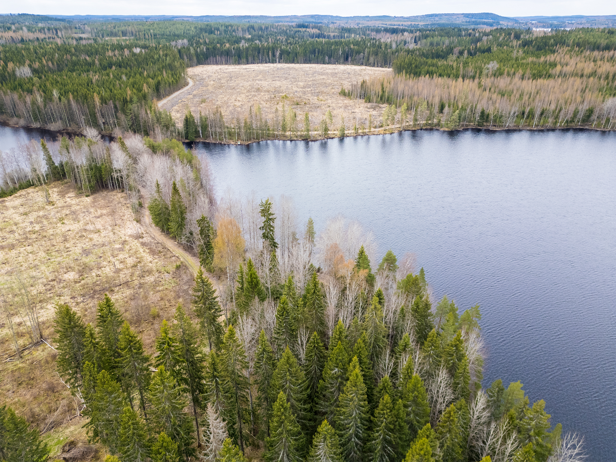 Peltoniementie -, Kolho, Mänttä-Vilppula