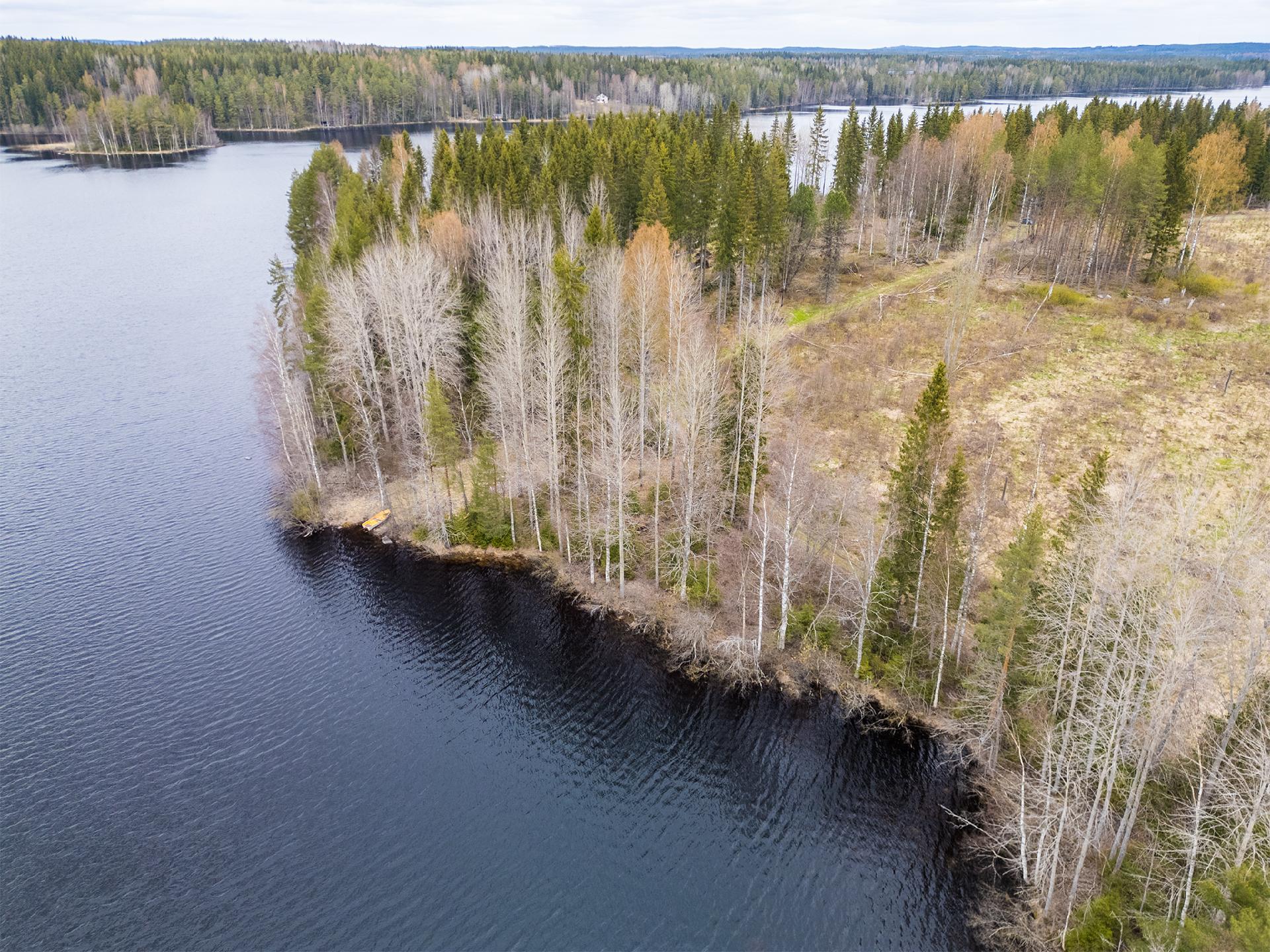 Peltoniementie -, Kolho, Mänttä-Vilppula