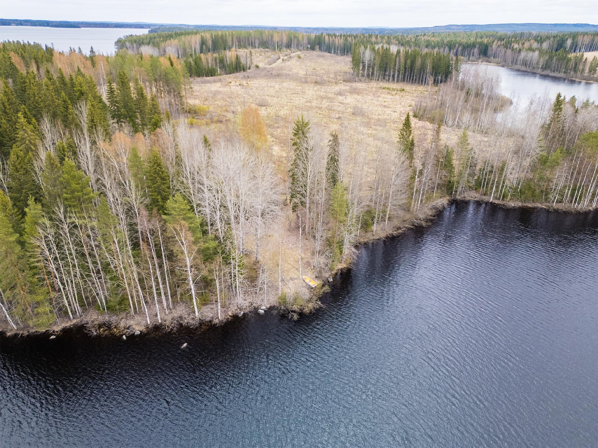 Peltoniementie -, Kolho, Mänttä-Vilppula