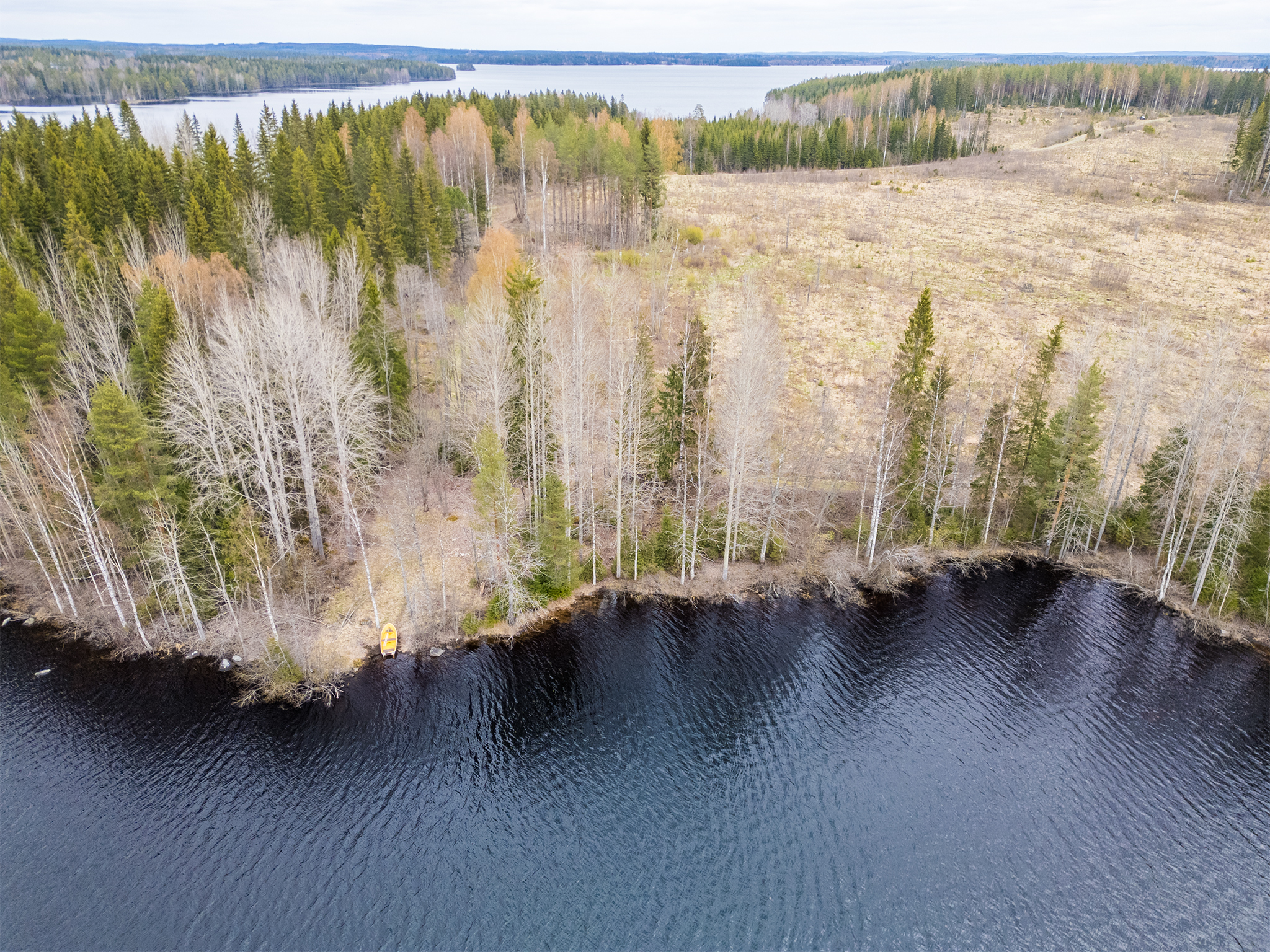 Peltoniementie -, Kolho, Mänttä-Vilppula