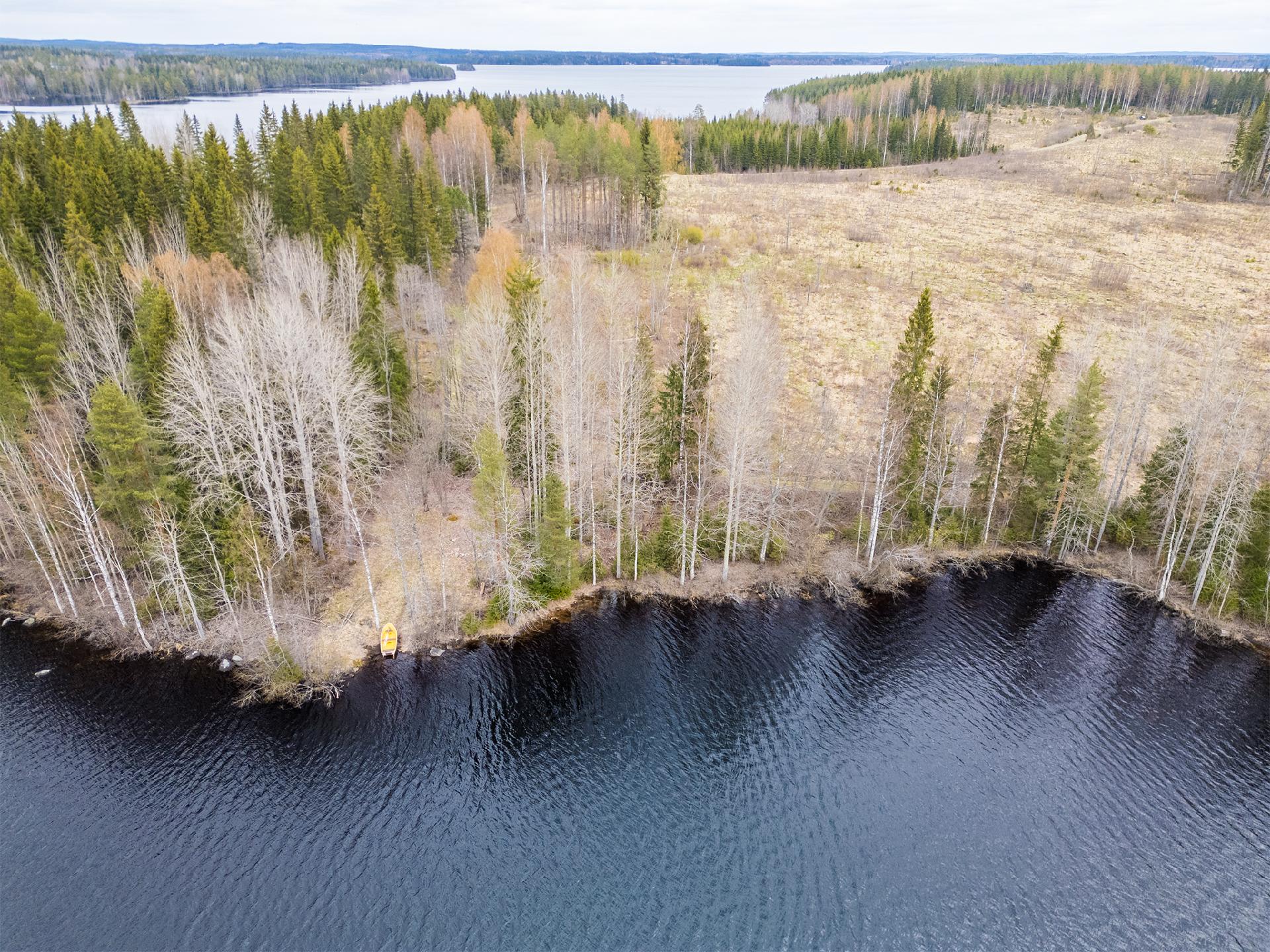 Peltoniementie -, Kolho, Mänttä-Vilppula