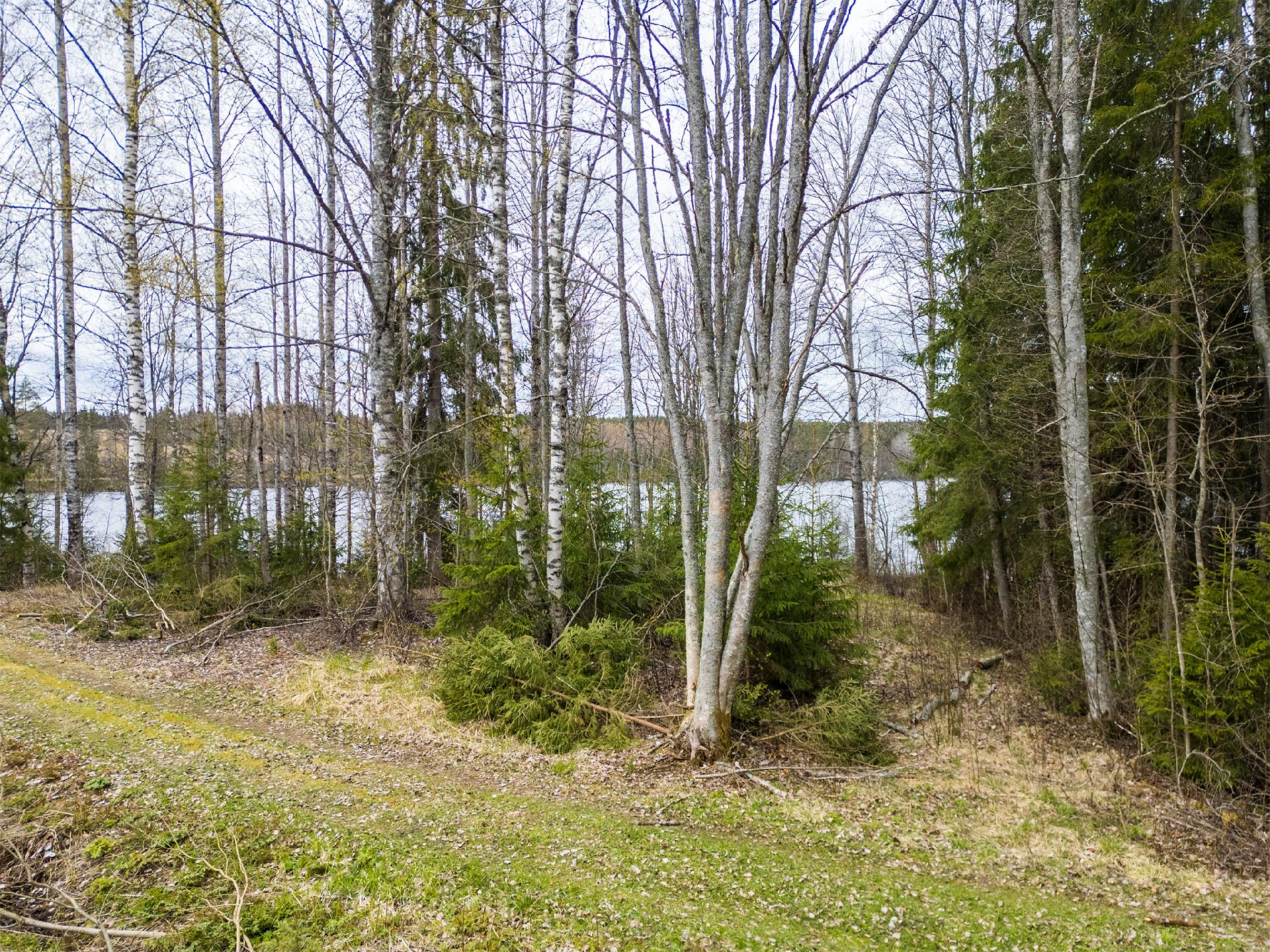 Peltoniementie -, Kolho, Mänttä-Vilppula