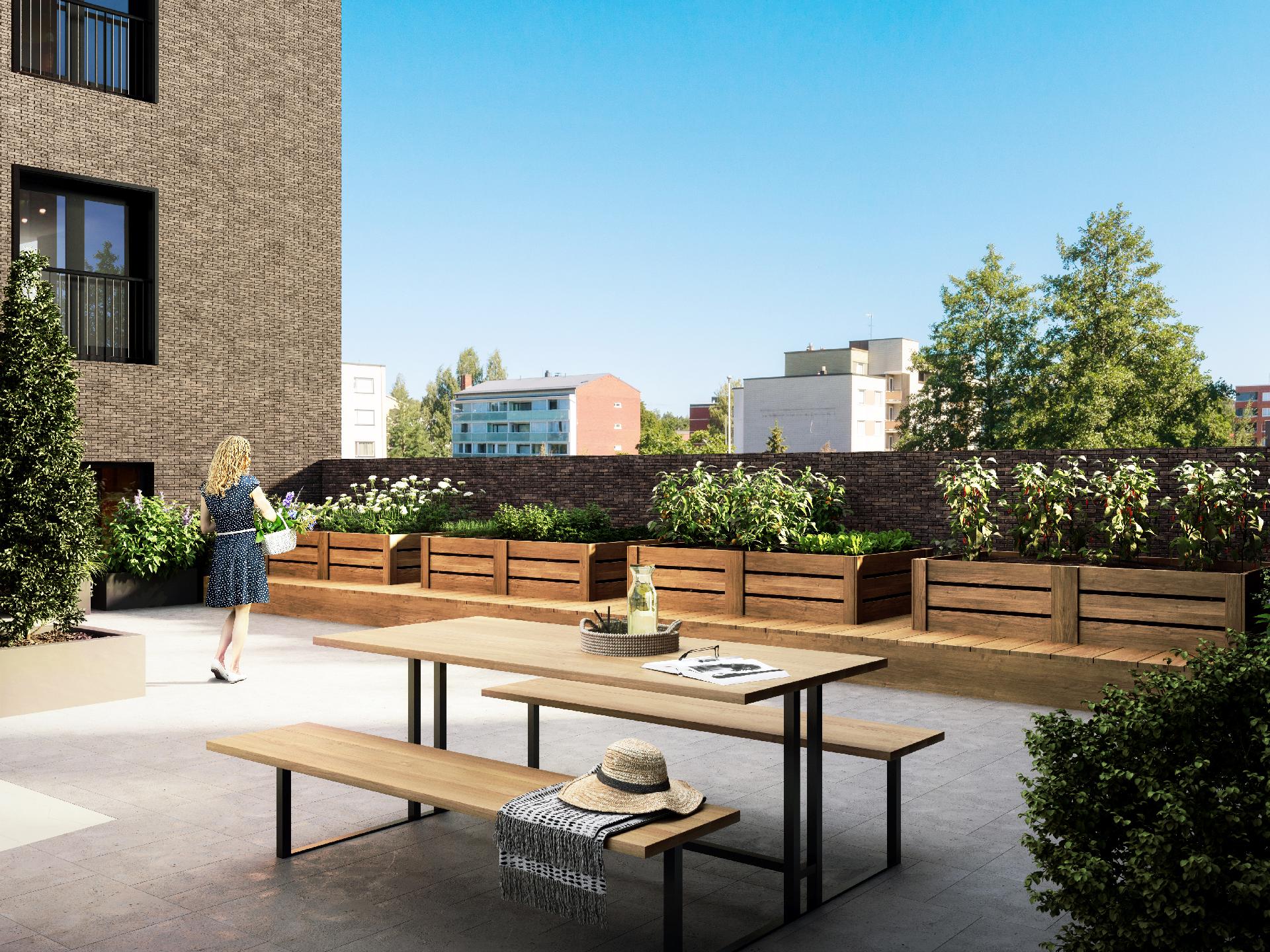 Havainnekuva yhteisestä kattoterassista