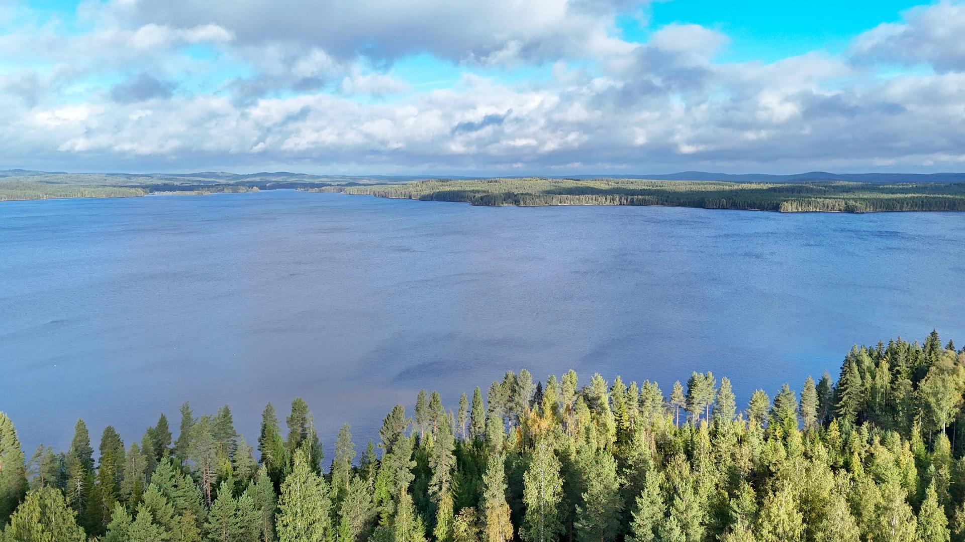 Kalliokankaante 3, Kivilahti, Ilomantsi