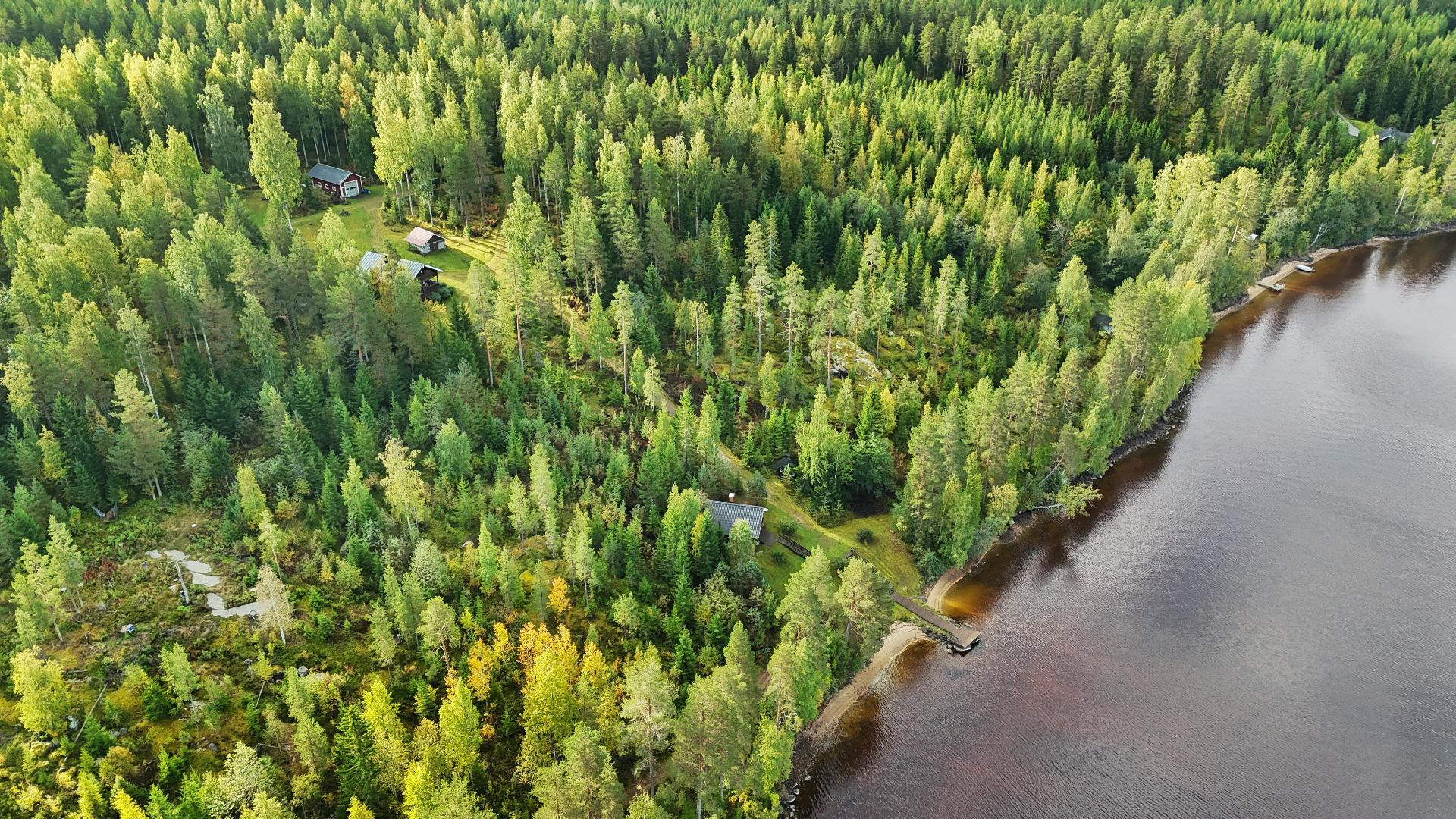 Kalliokankaante 3, Kivilahti, Ilomantsi