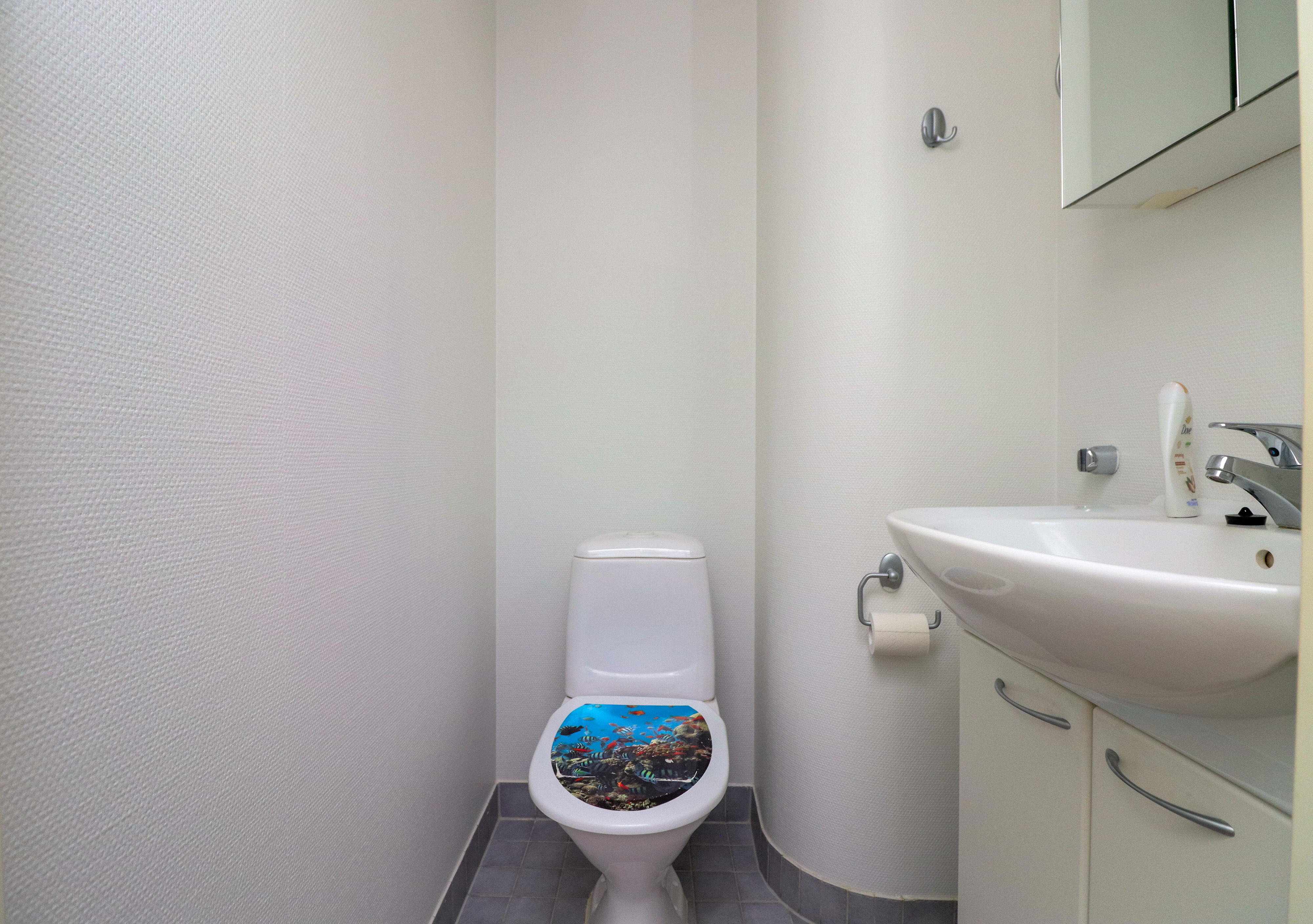 Erillinen wc