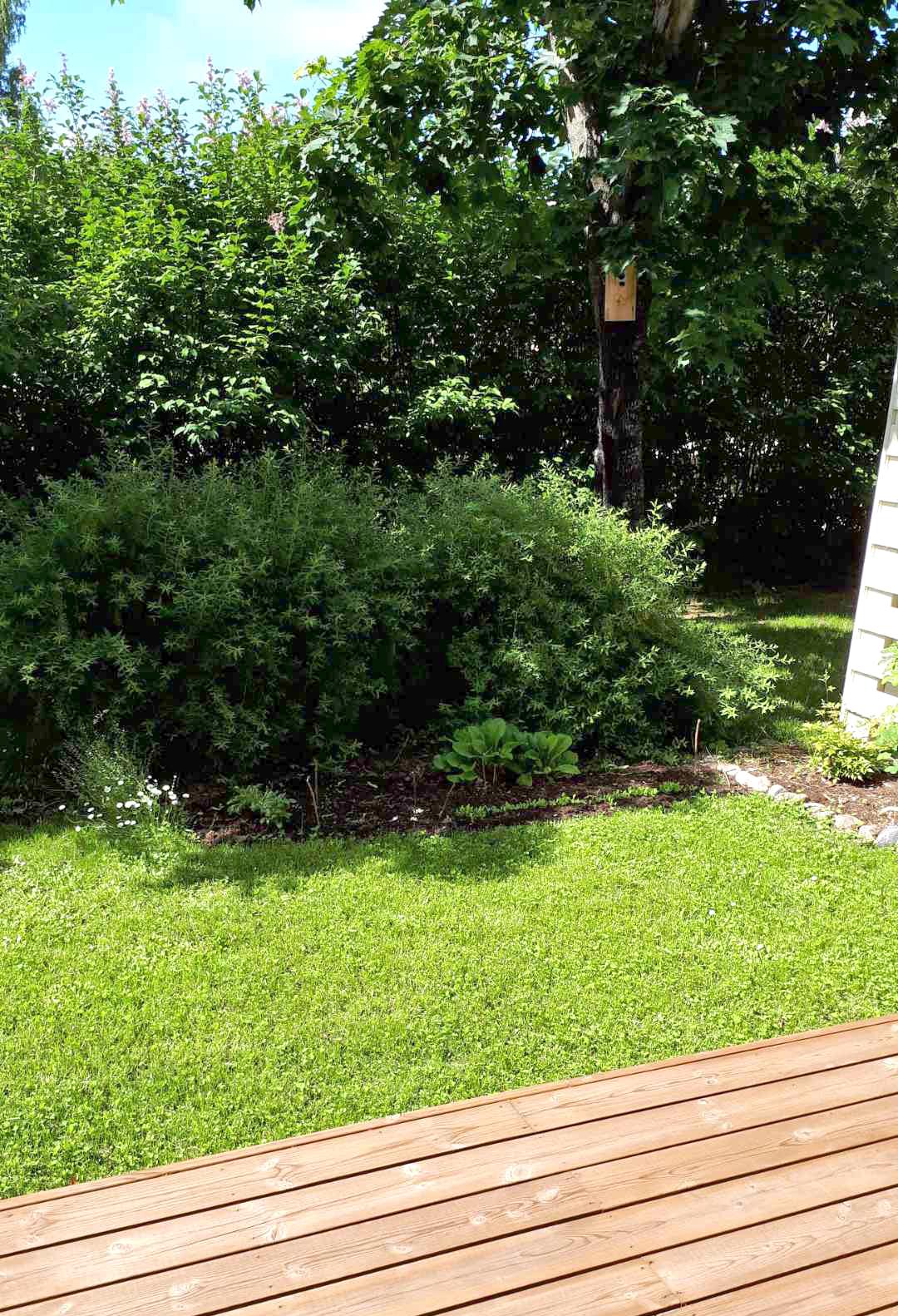 Vuorelantie 4, Finnsbacka, Kirkkonummi