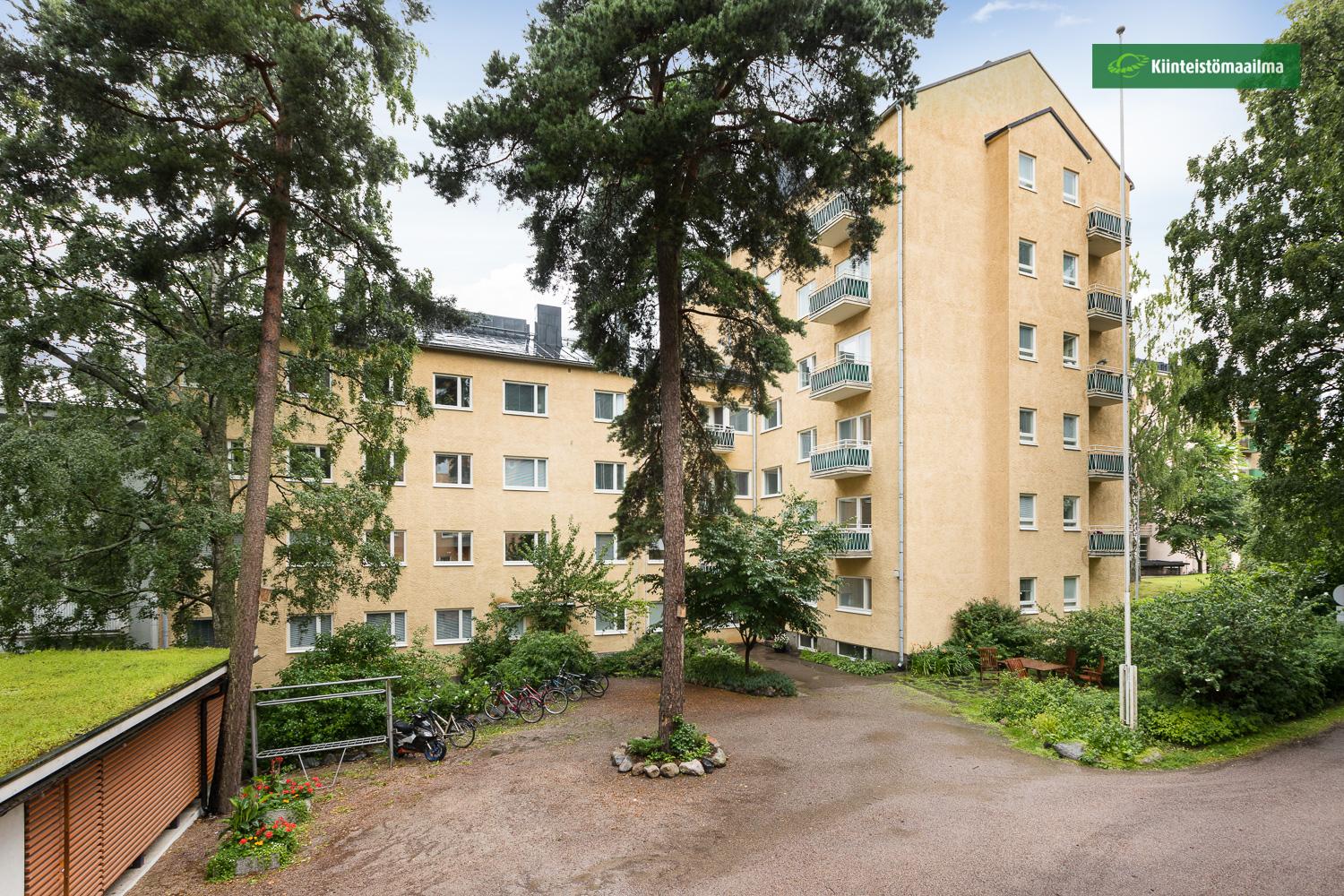 Sisäänkäynti rappuun pihan puolelta