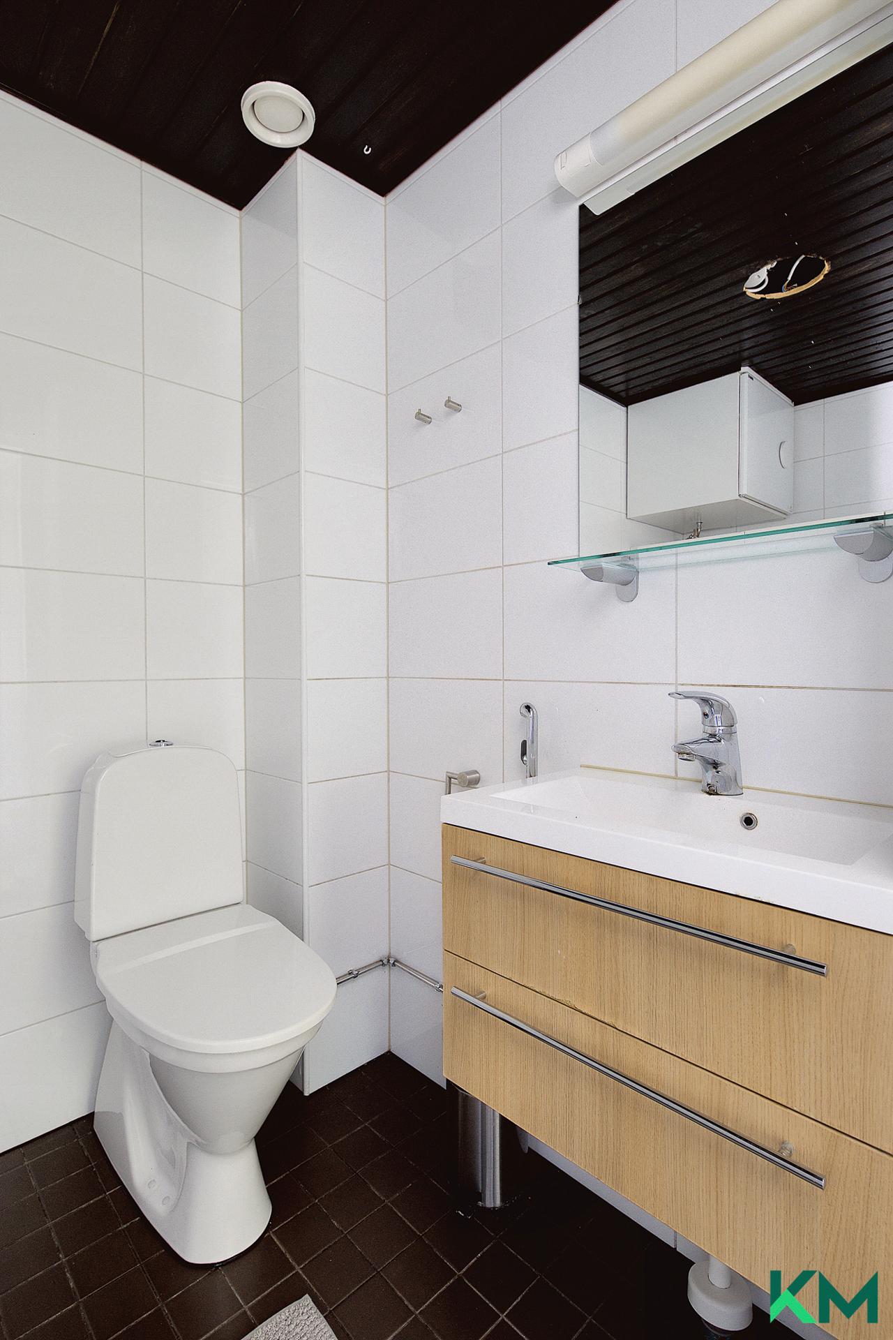 Yläkerran wc (suihkuvarauksella)