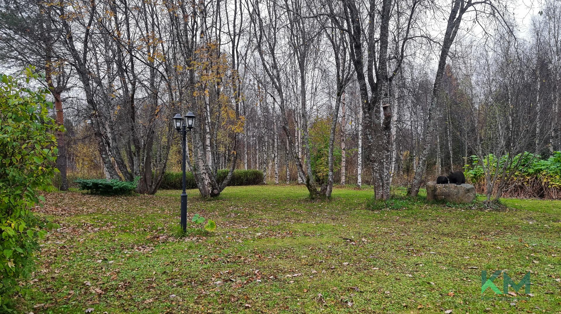 Sisäpihalla paljon tilaa touhuta. Tontti on myös suojaisa ja rajoittuu kahdelta sivustalta kaupungin puistoalueeseen.