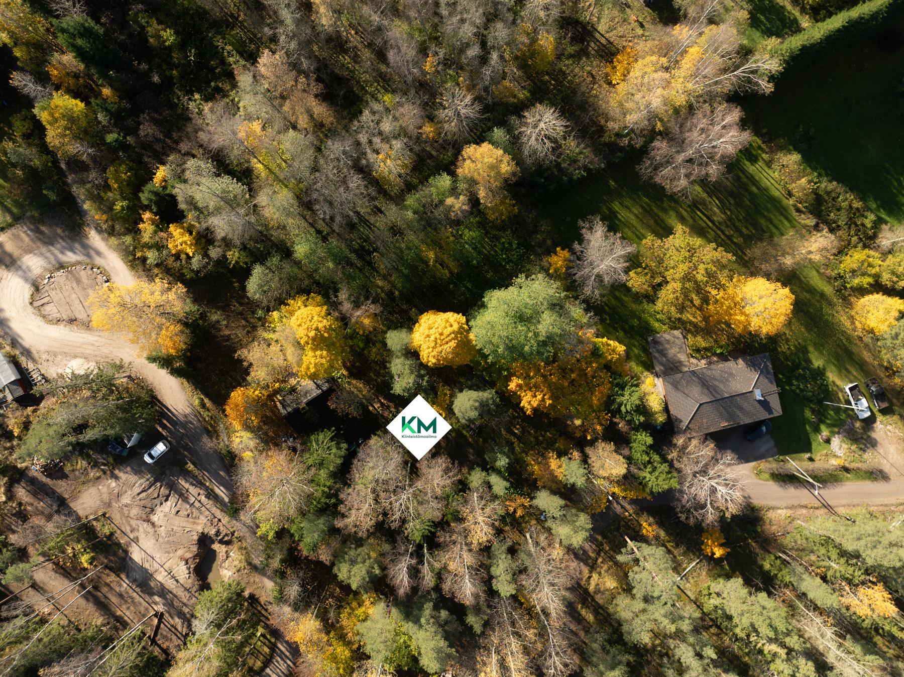 Tontti ilmasta vehreämpään aikaan, jotta näkee myös ilman lunta
