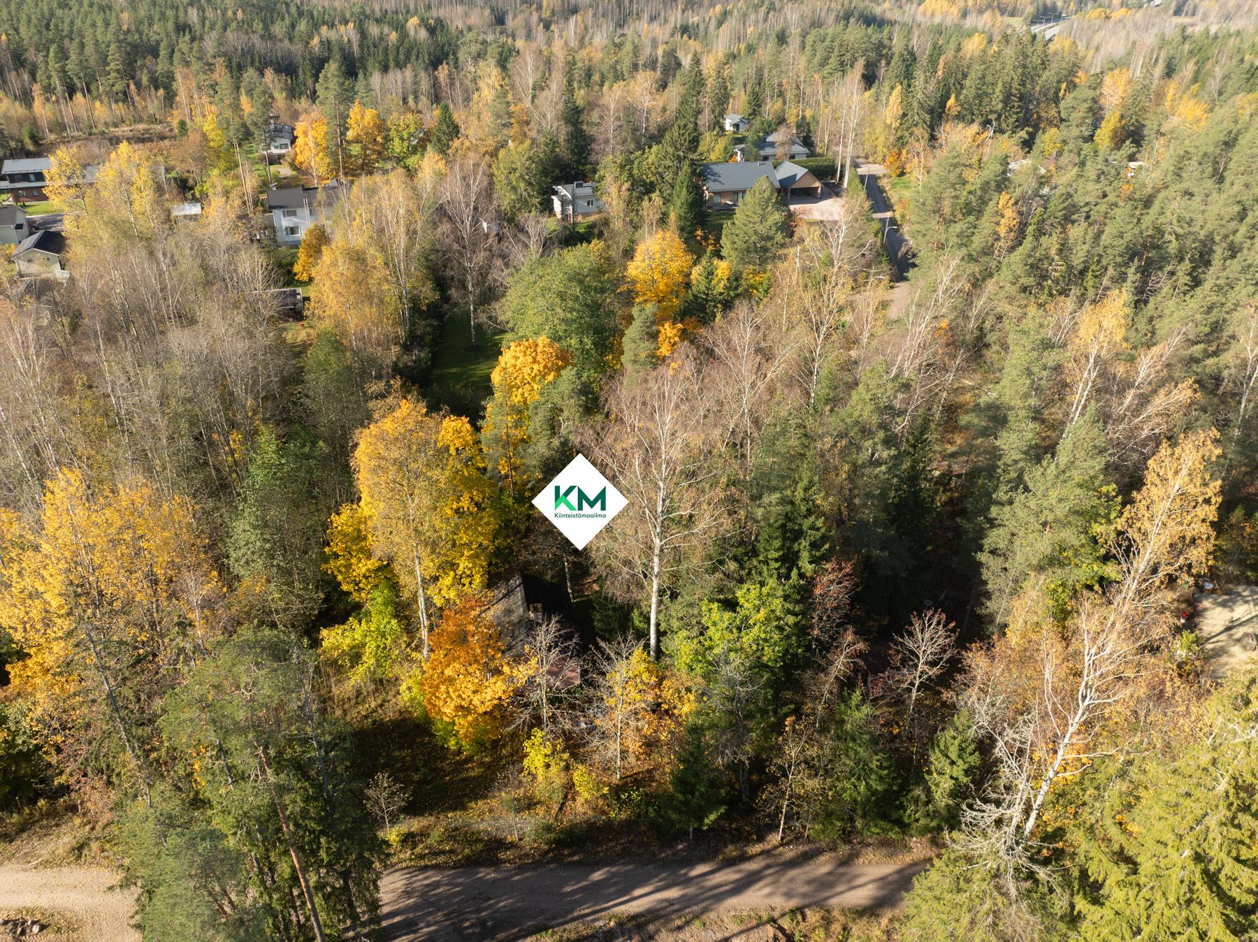 Tontti ilmasta vehreämpään aikaan, jotta näkee myös ilman lunta