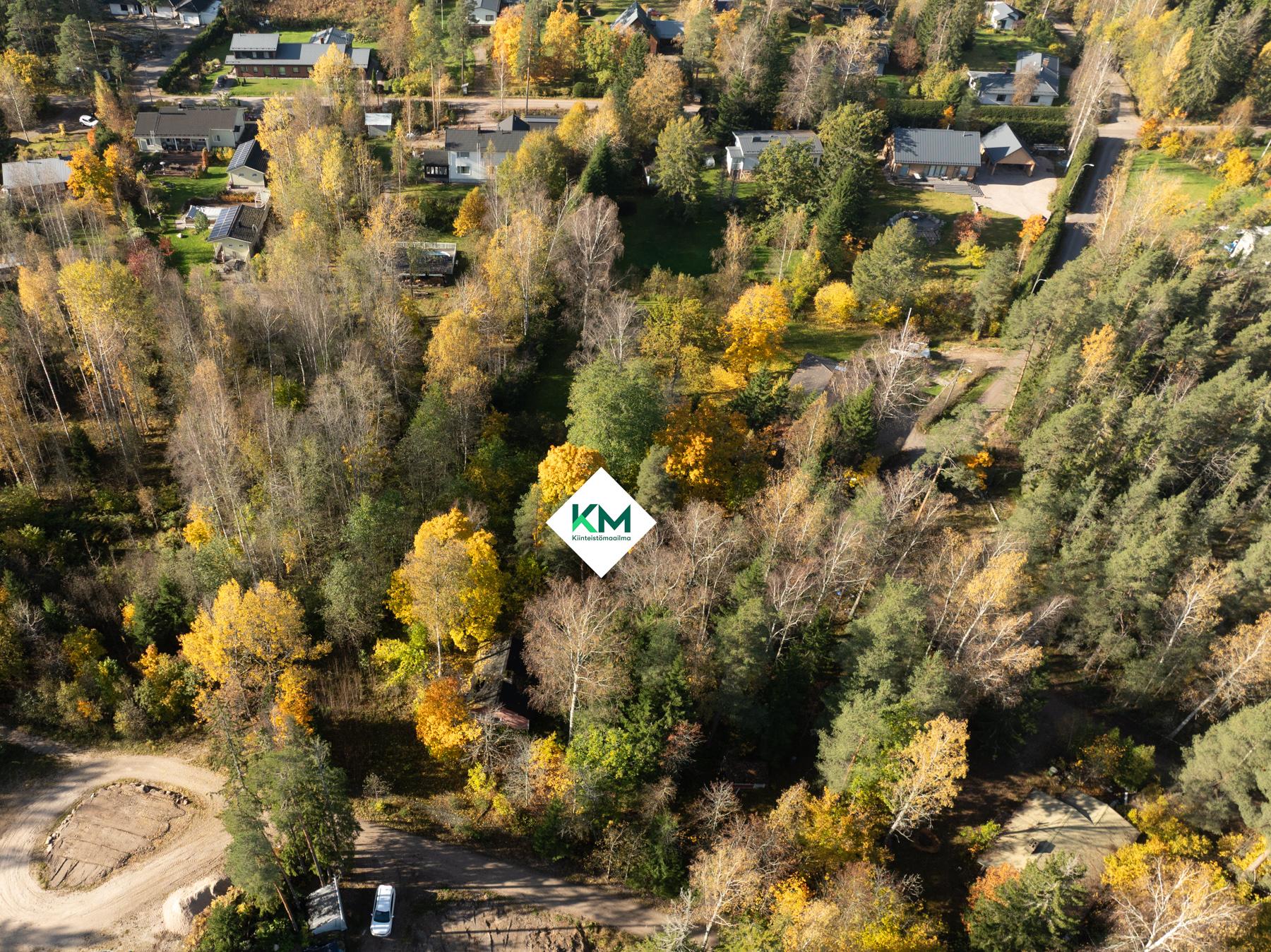 Tontti ilmasta vehreämpään aikaan, jotta näkee myös ilman lunta