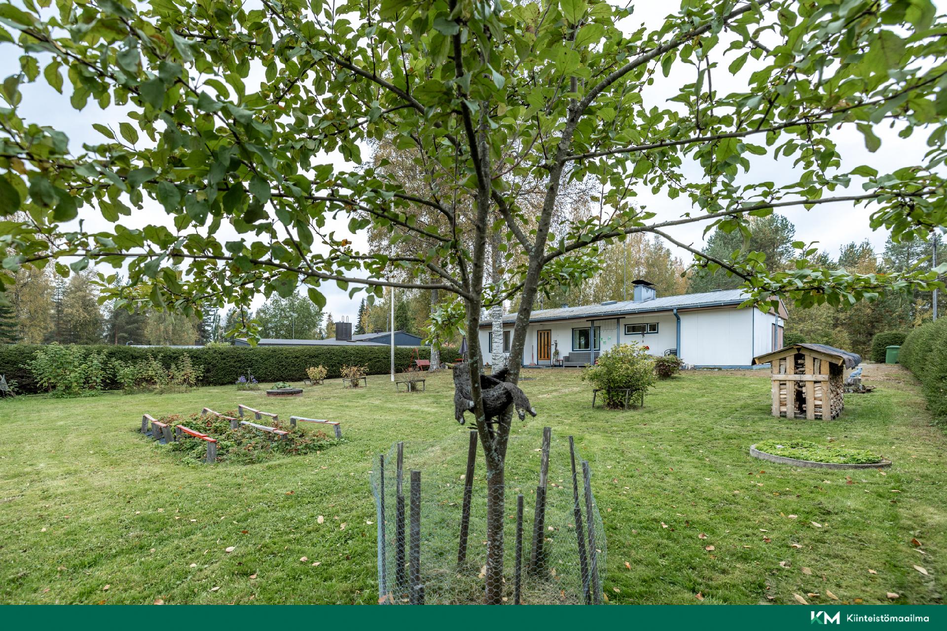 Allinkuja 9, Hirvensalmi