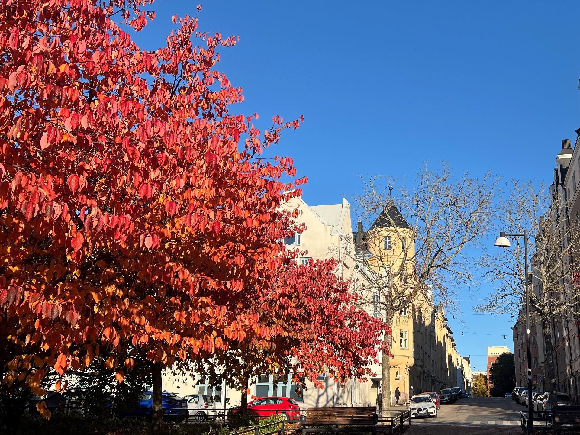 Kapteeninkatu 4-6, Ullanlinna, Helsinki