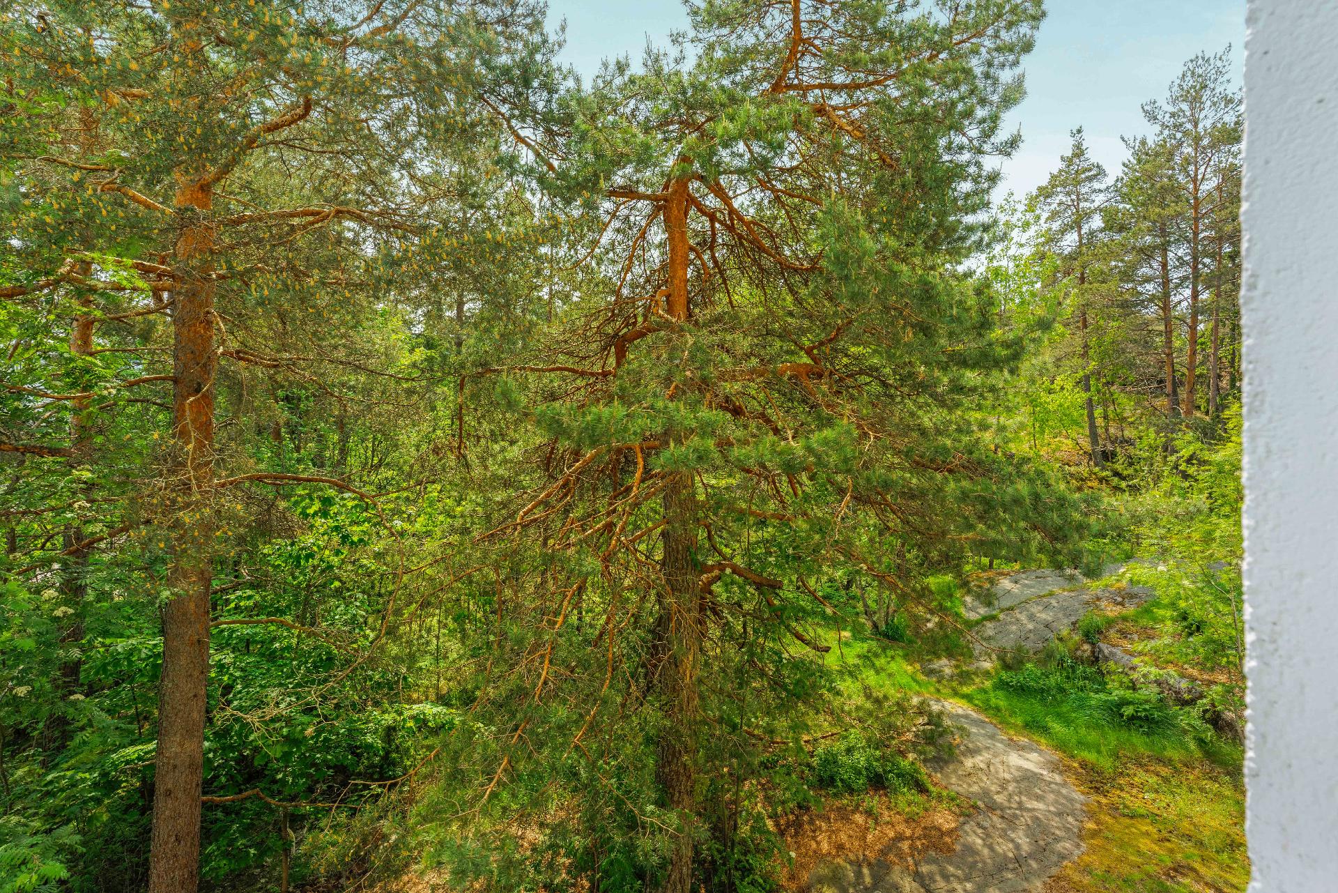 Parvekkeelta avautuu kaunis männikkömaisema
