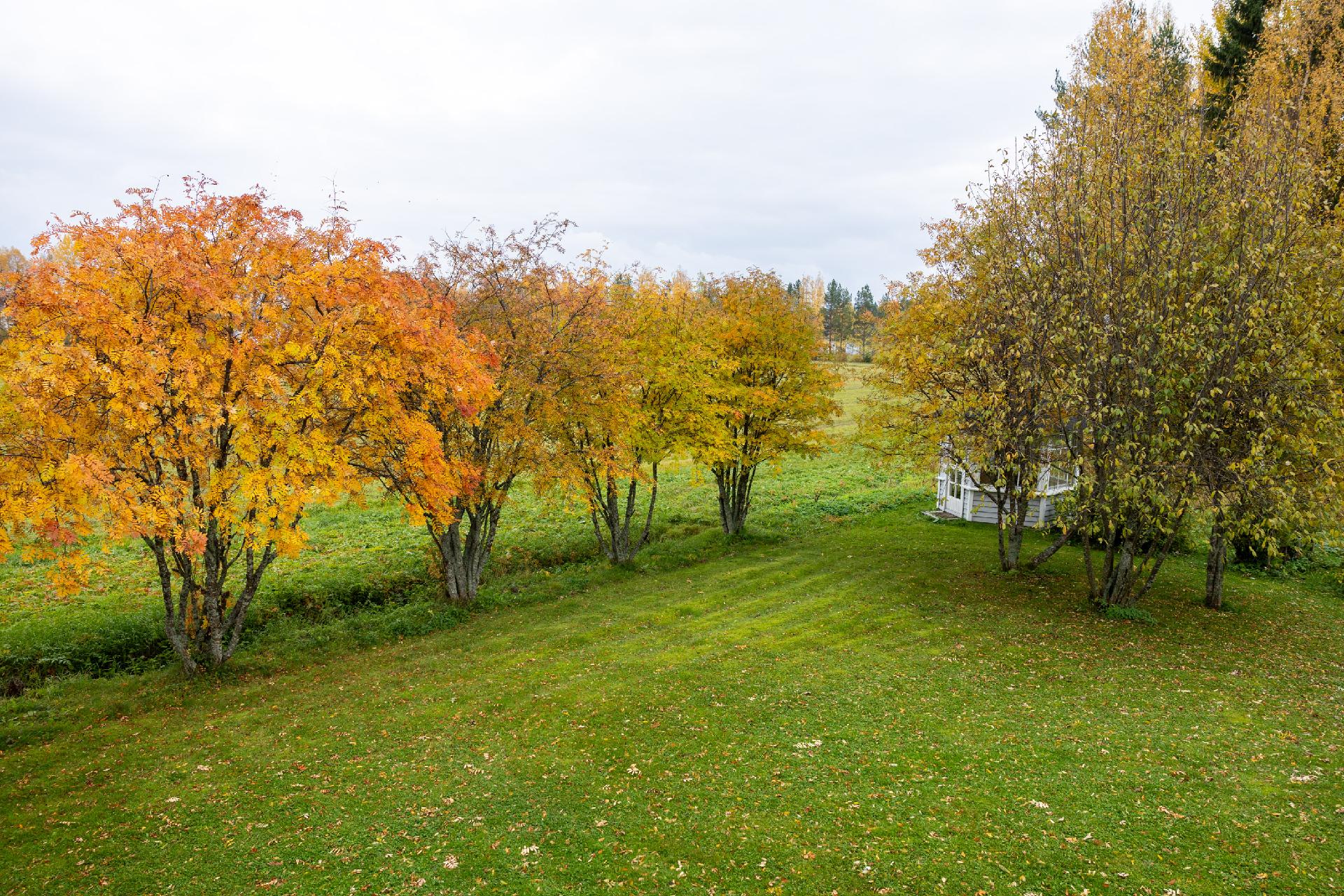 Jounilantie 10, Takkaranta, Kajaani