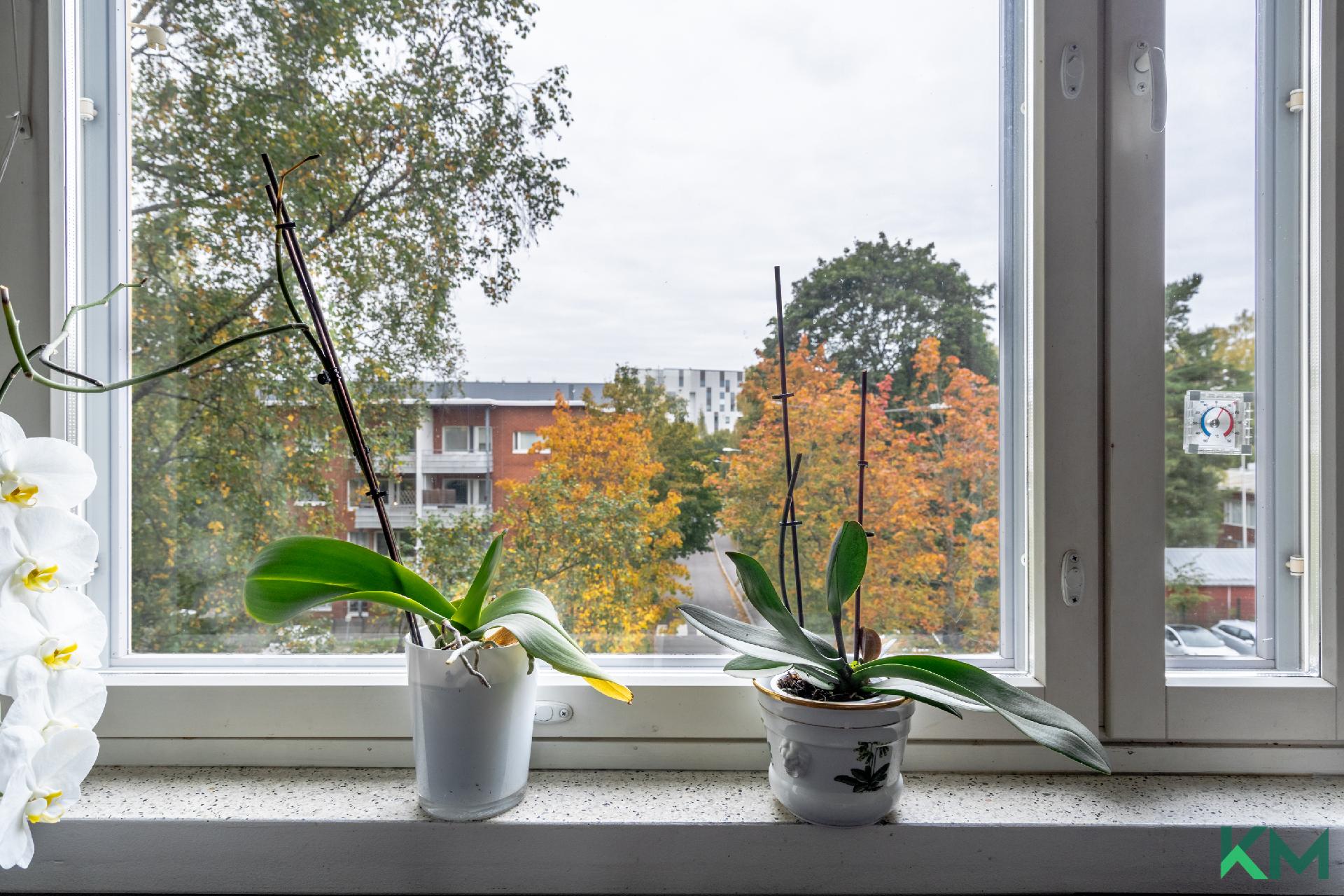 Tästä kodista on kivat näkymät pitkälle