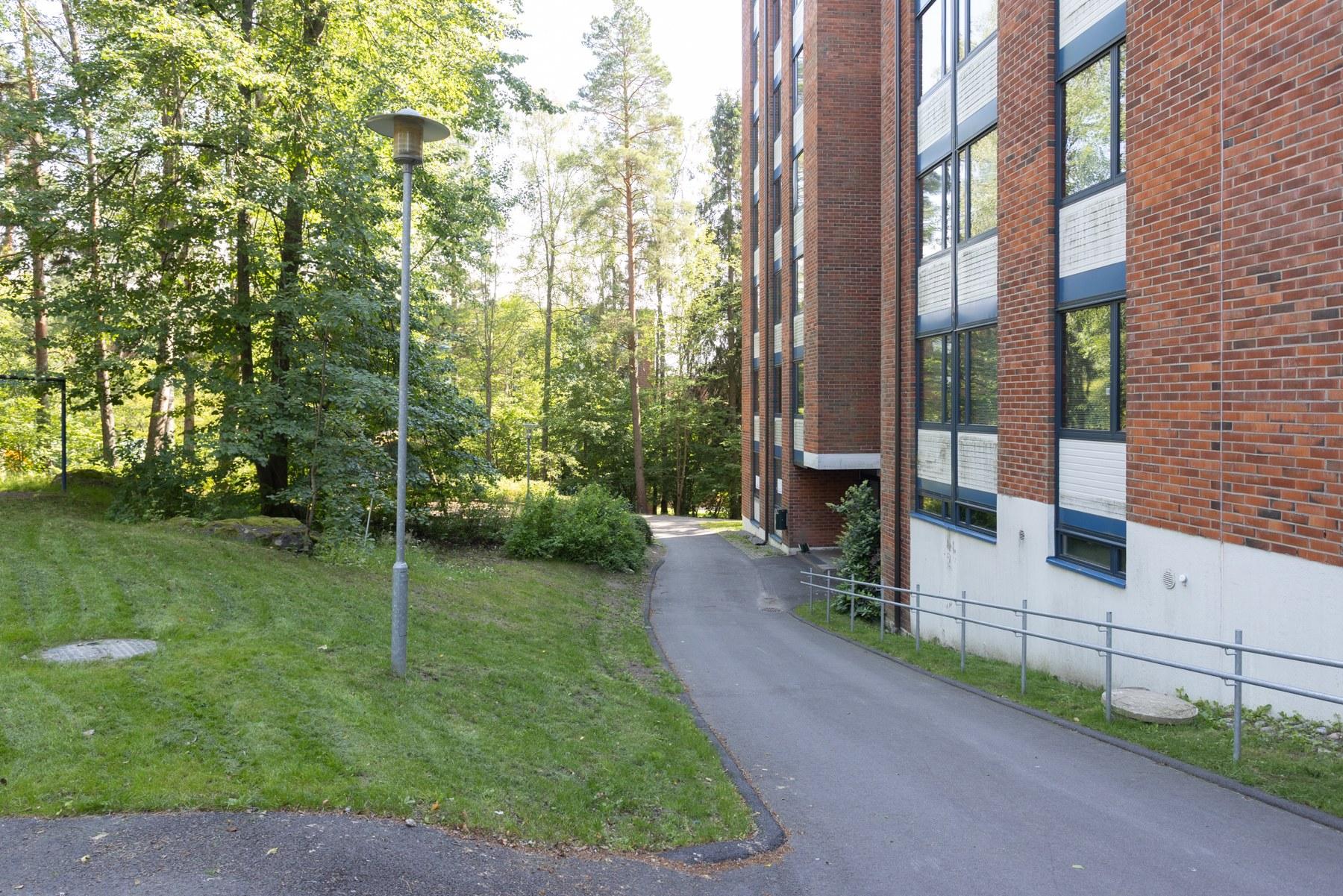 Pihapiiri on viihtyisä ja vehreä