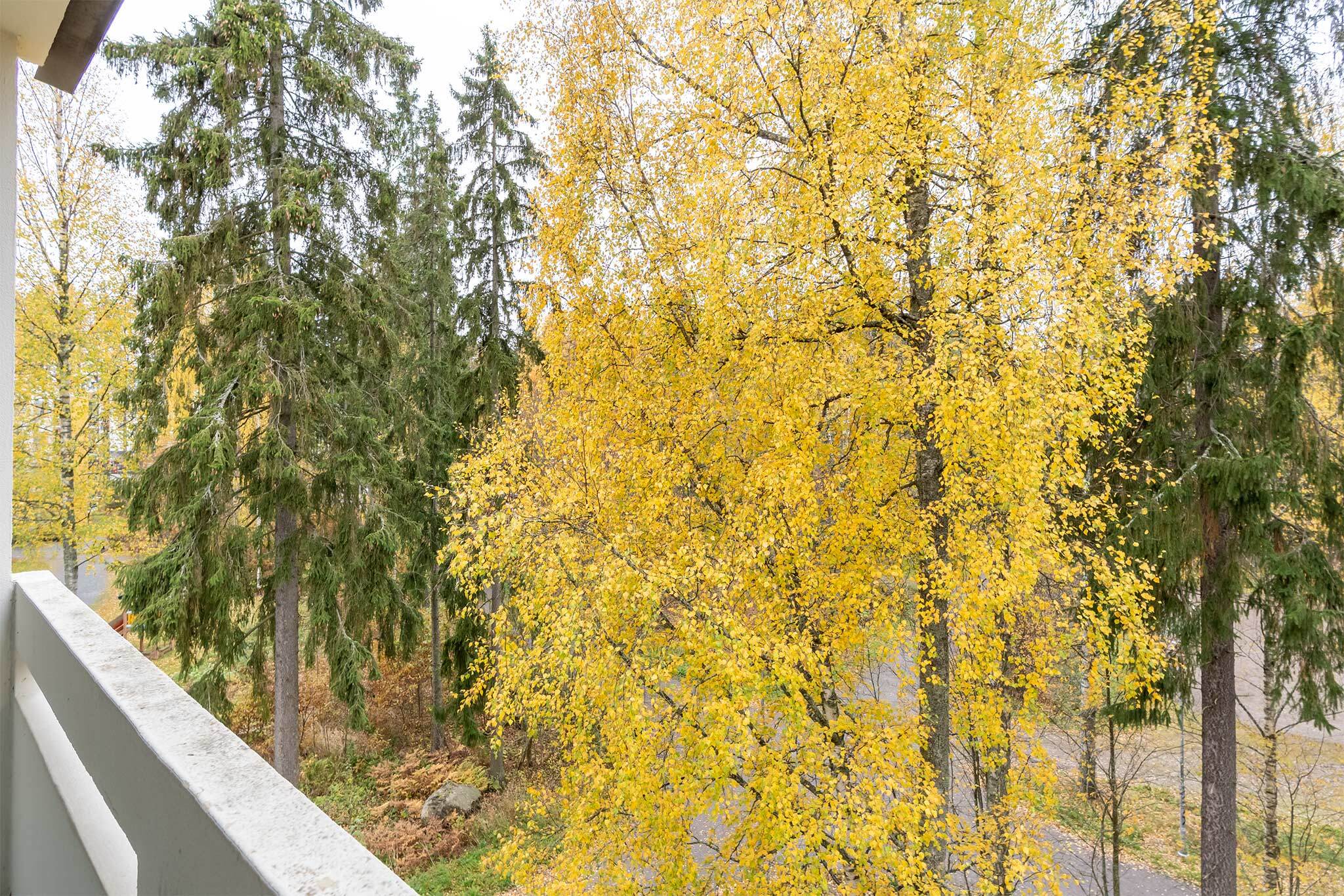 Jänislahdenkatu 8, Lentävänniemi, Tampere
