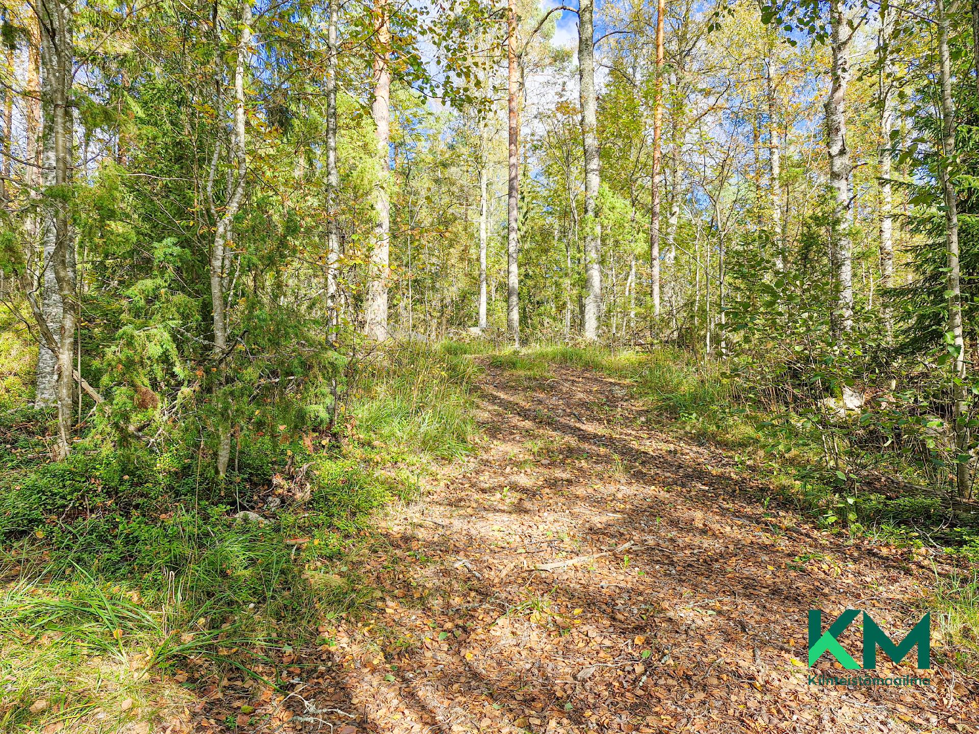 Kuokkalantie 1008, Kuokkala, Savonlinna