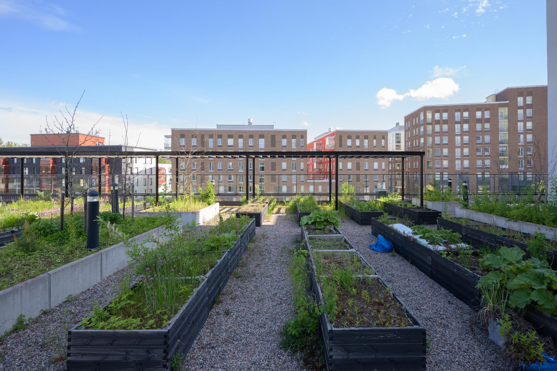 Safiirikuja 11-13, Kivistö, Vantaa