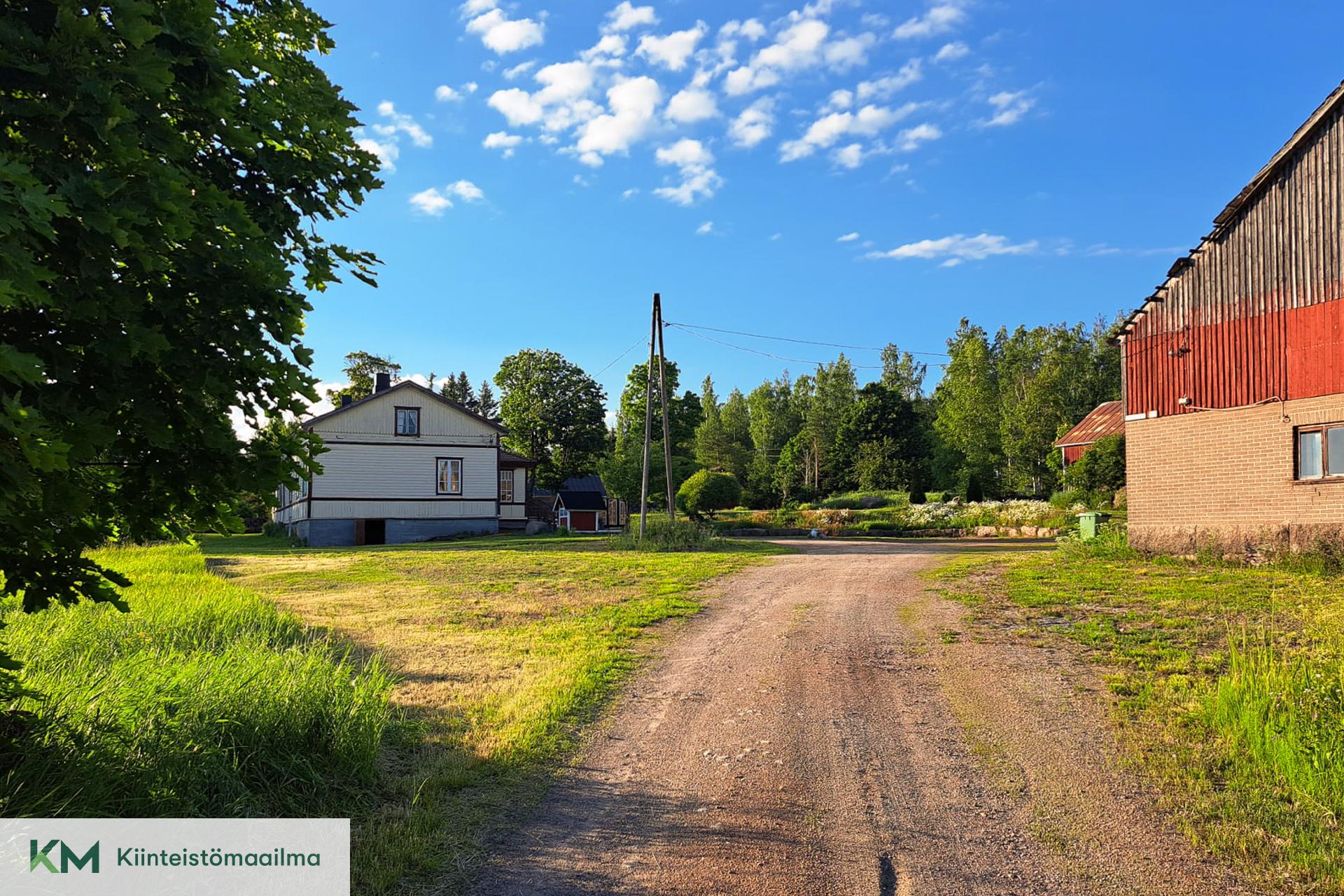 Myyjän ottama kesäkuva