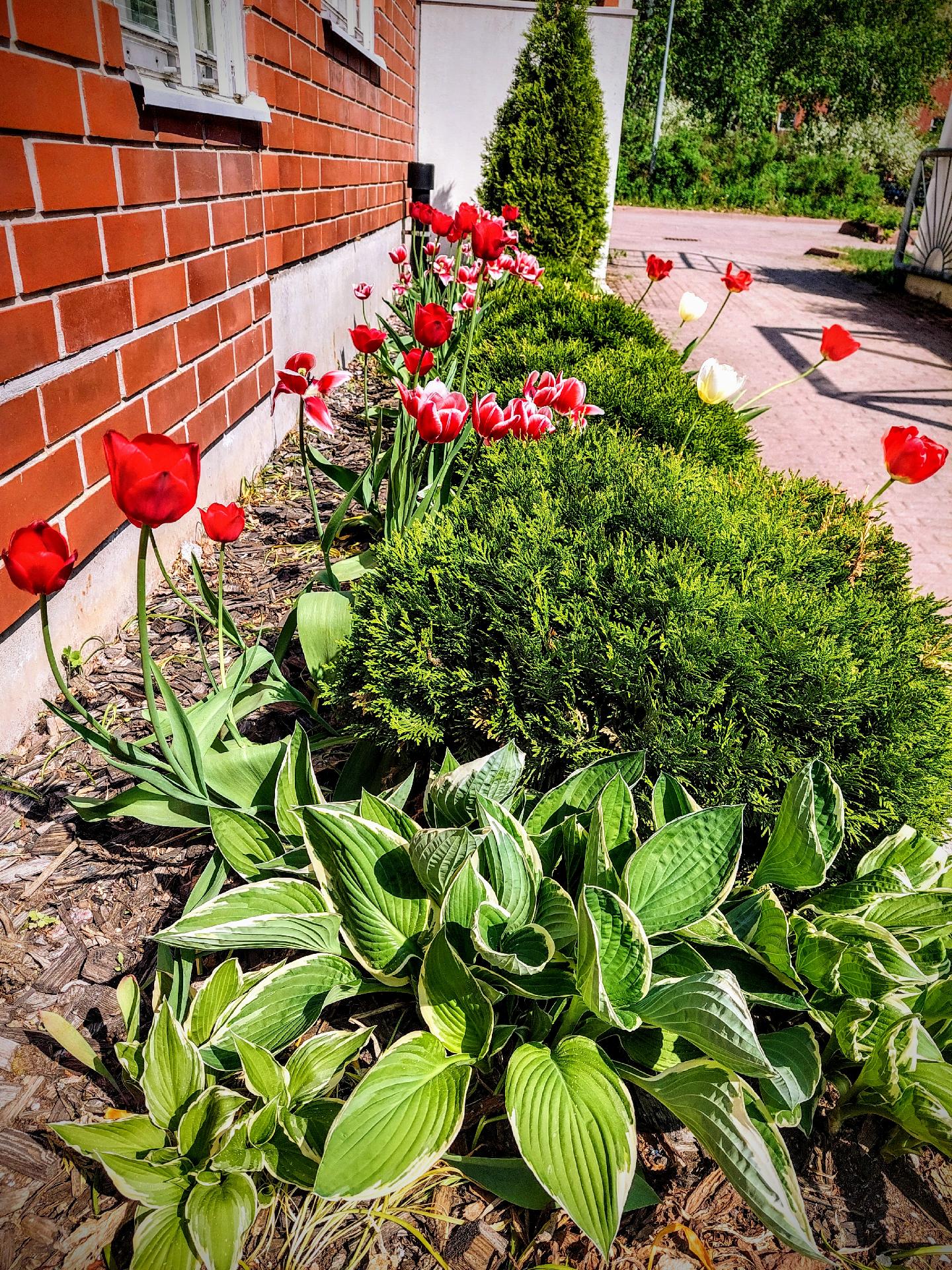 Myllärintanhua 2, Myllypuro, Helsinki