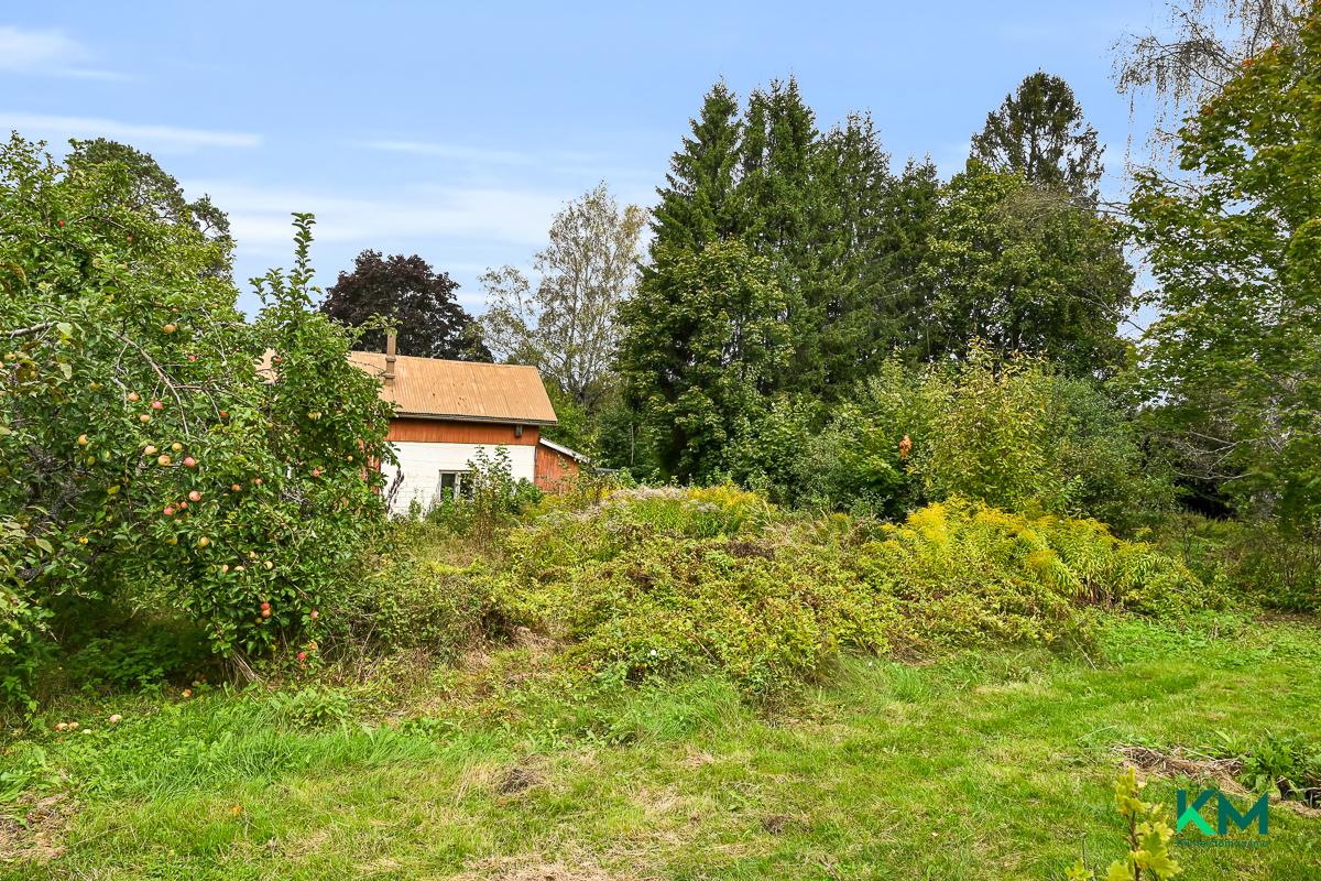 Talousrakennus - Ekonomibyggnad