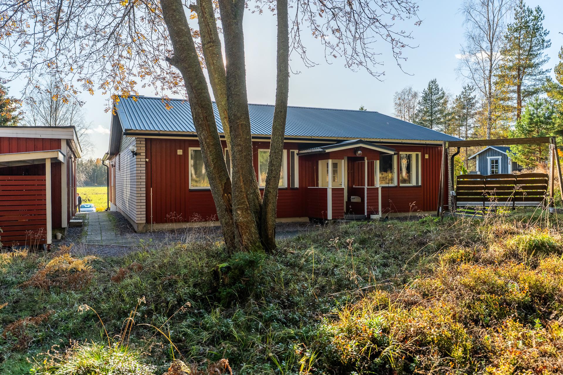 Talo metsän puolelta