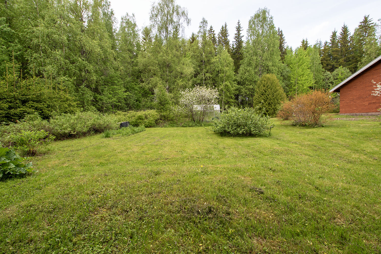 Pihamaalla reilu nurmikenttä