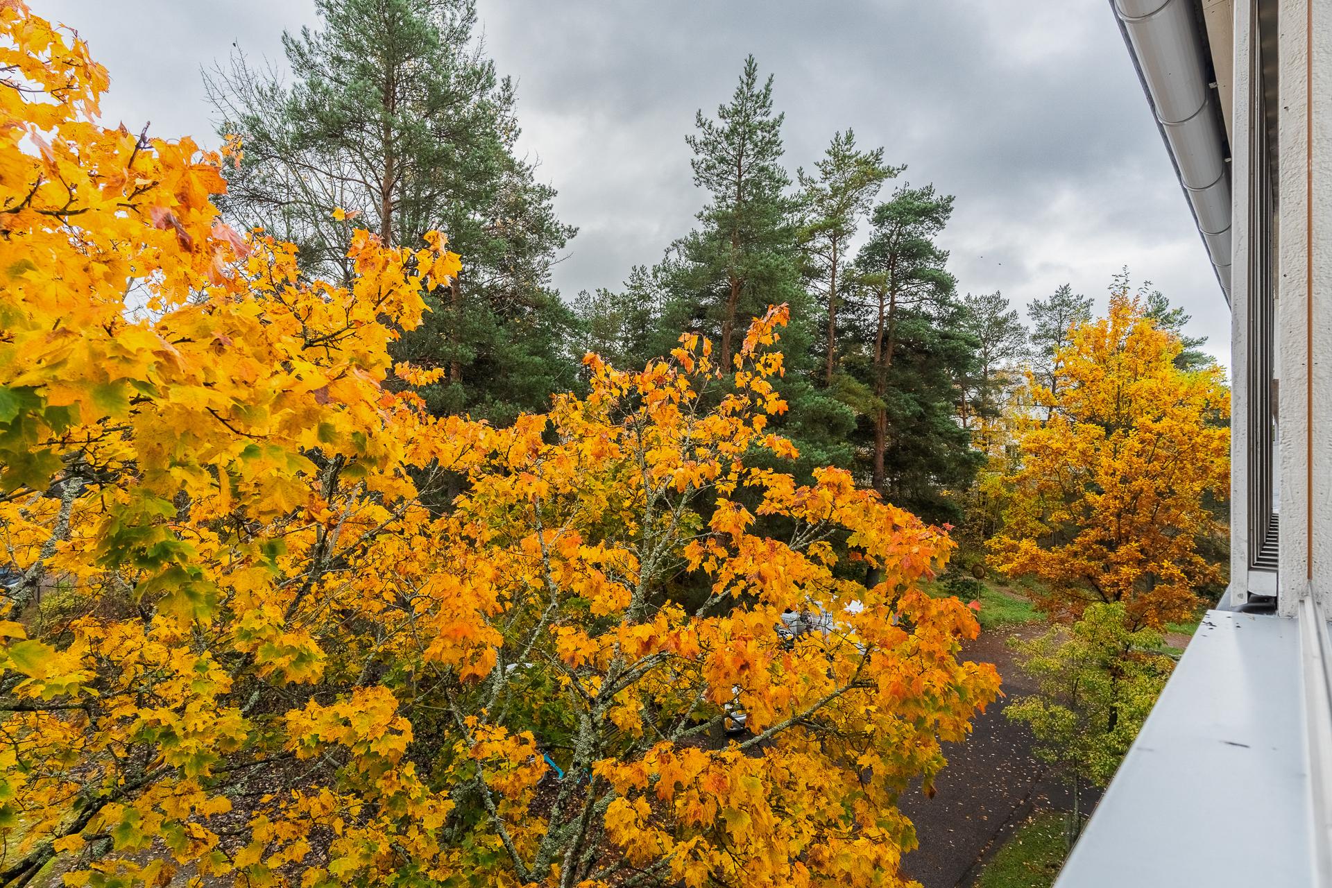 Liusketie 16, Pihlajamäki, Helsinki