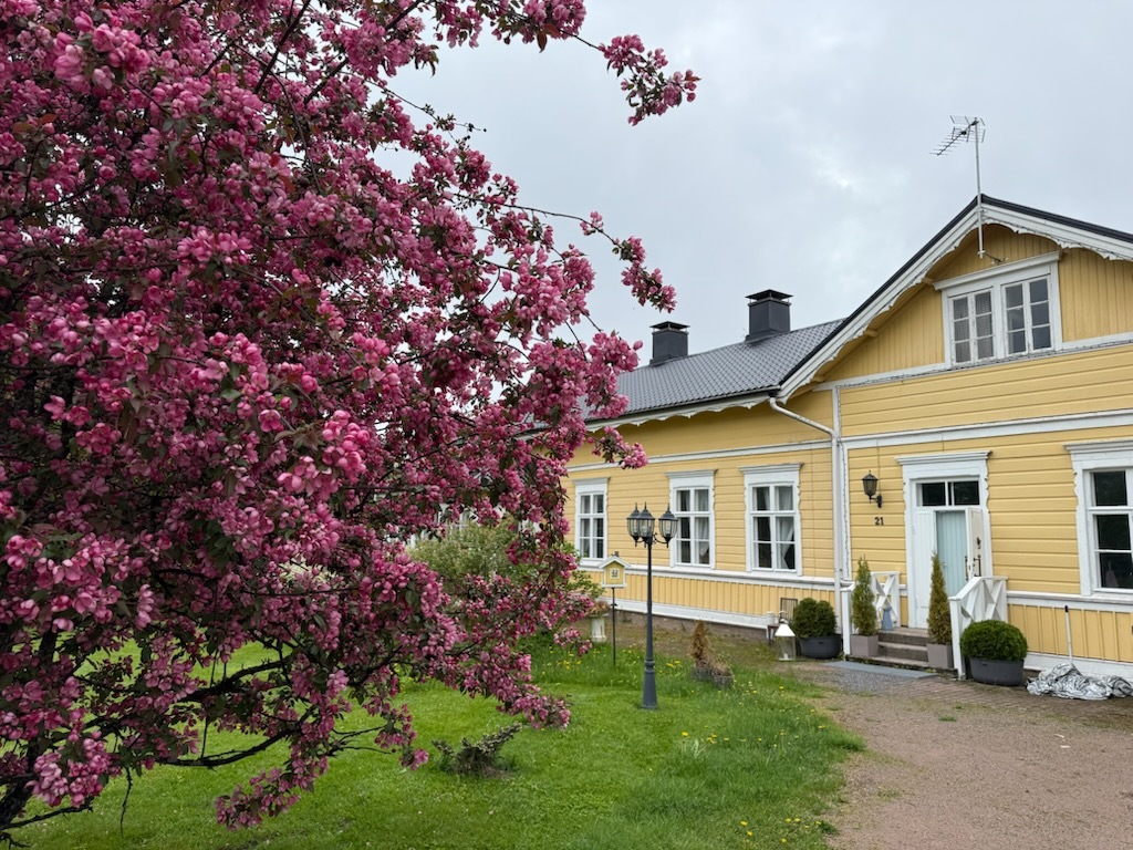 Kesäkuva