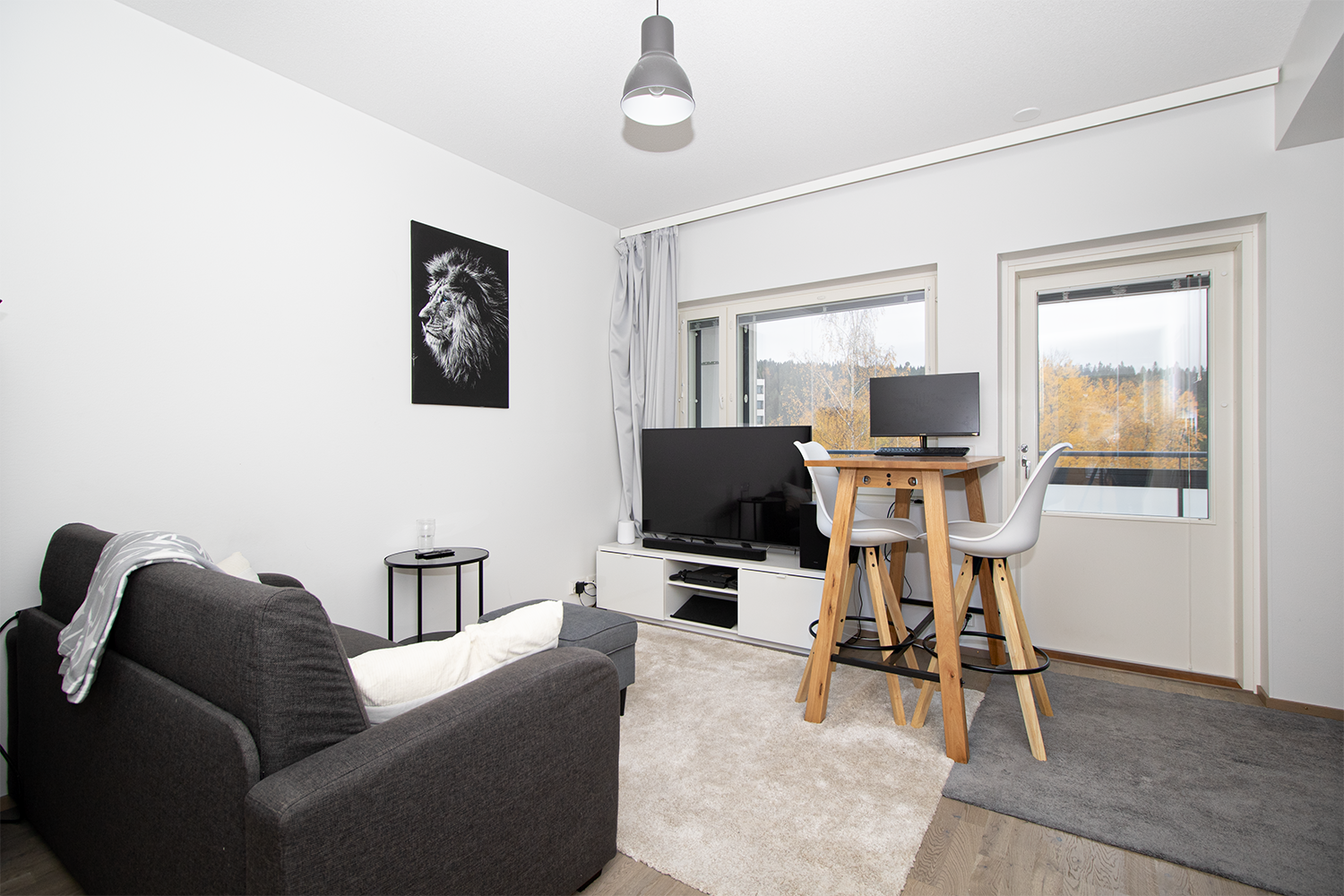 Hiihtäjäntie 9, Puijonlaakso, Kuopio