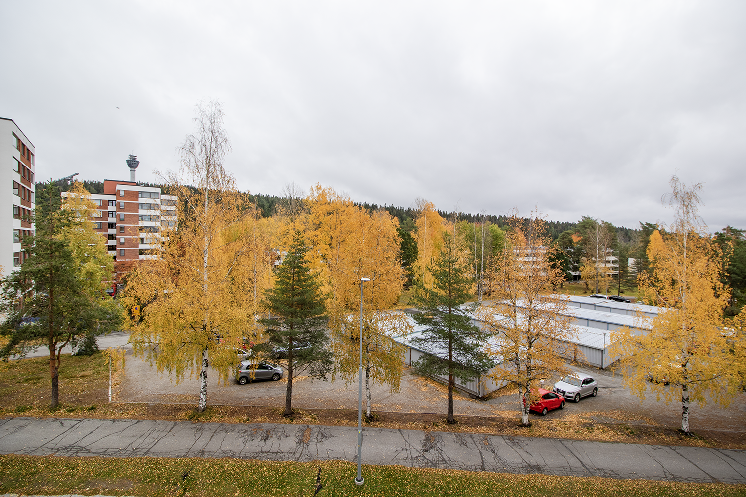 Hiihtäjäntie 9, Puijonlaakso, Kuopio