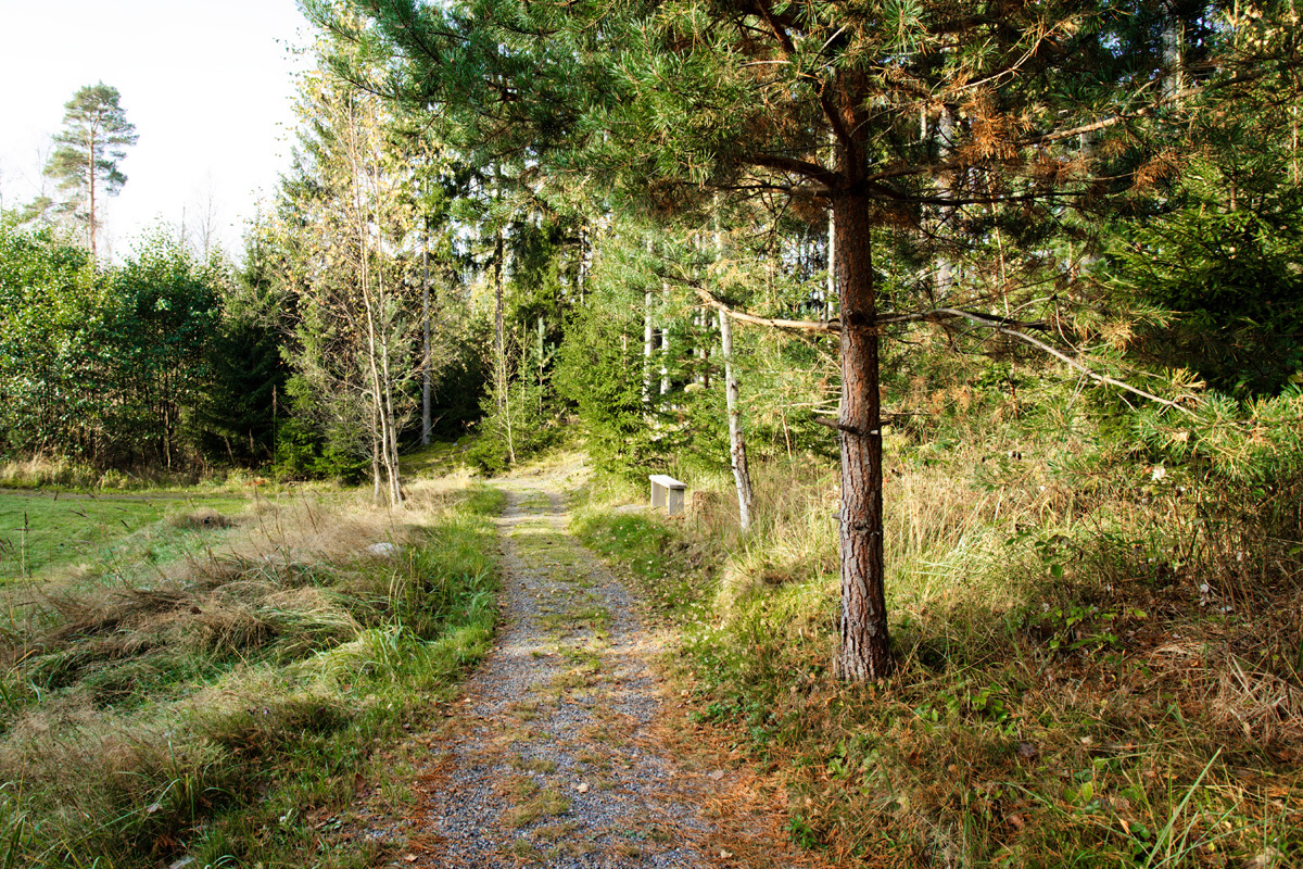 Degeröntie 46, Raasepori