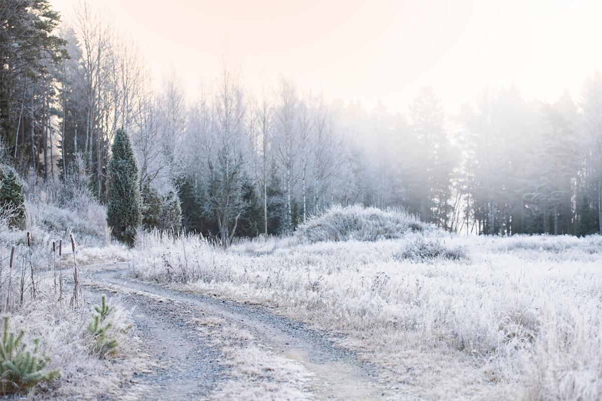 Degeröntie 46, Tammisaari, Raasepori