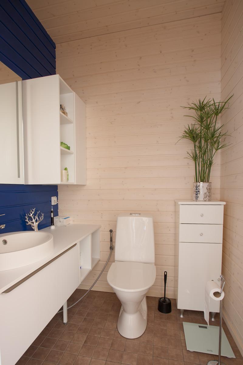 Degeröntie 46, Tammisaari, Raasepori