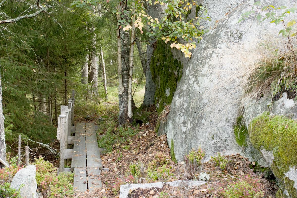 Degeröntie 46, Tammisaari, Raasepori