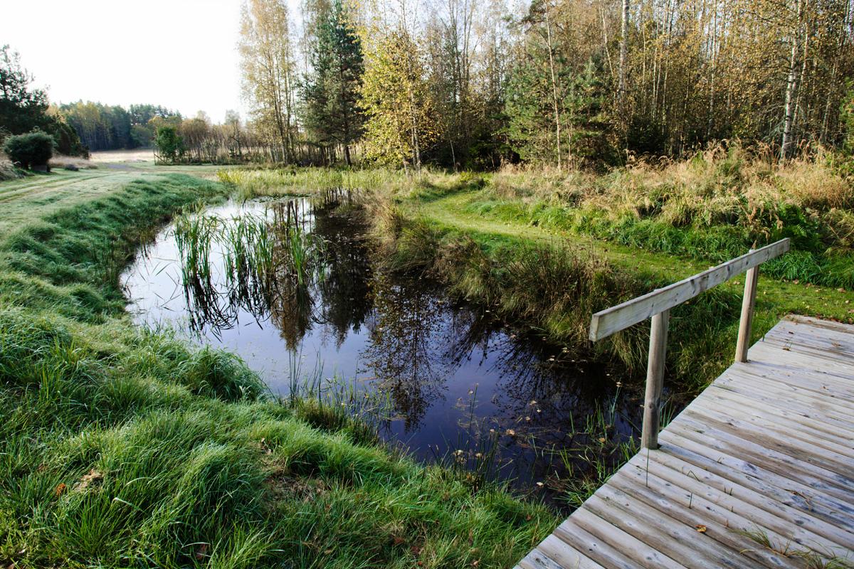 Degeröntie 46, Tammisaari, Raasepori