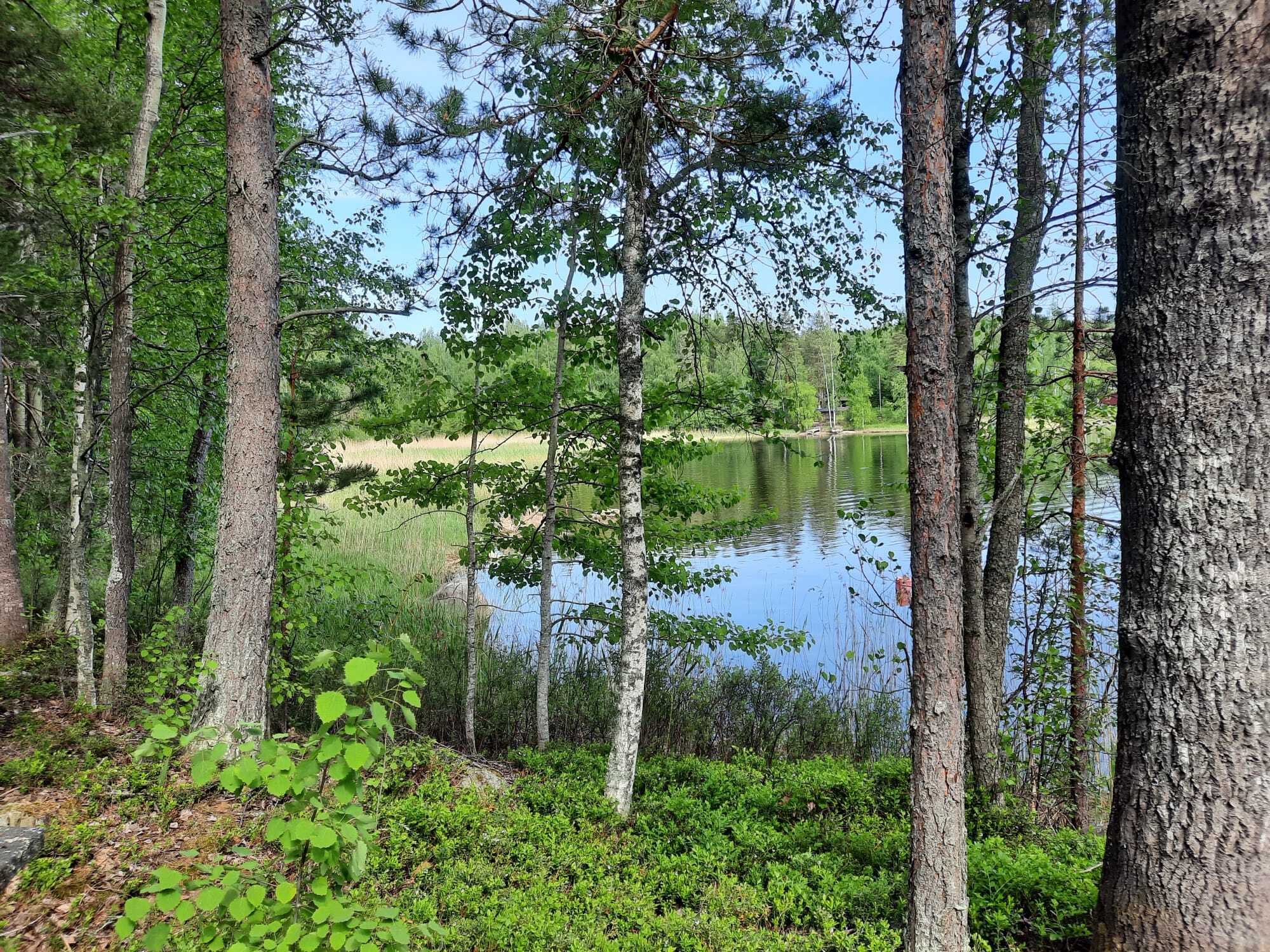 Tontinrannantie 9, Anttola, Mikkeli