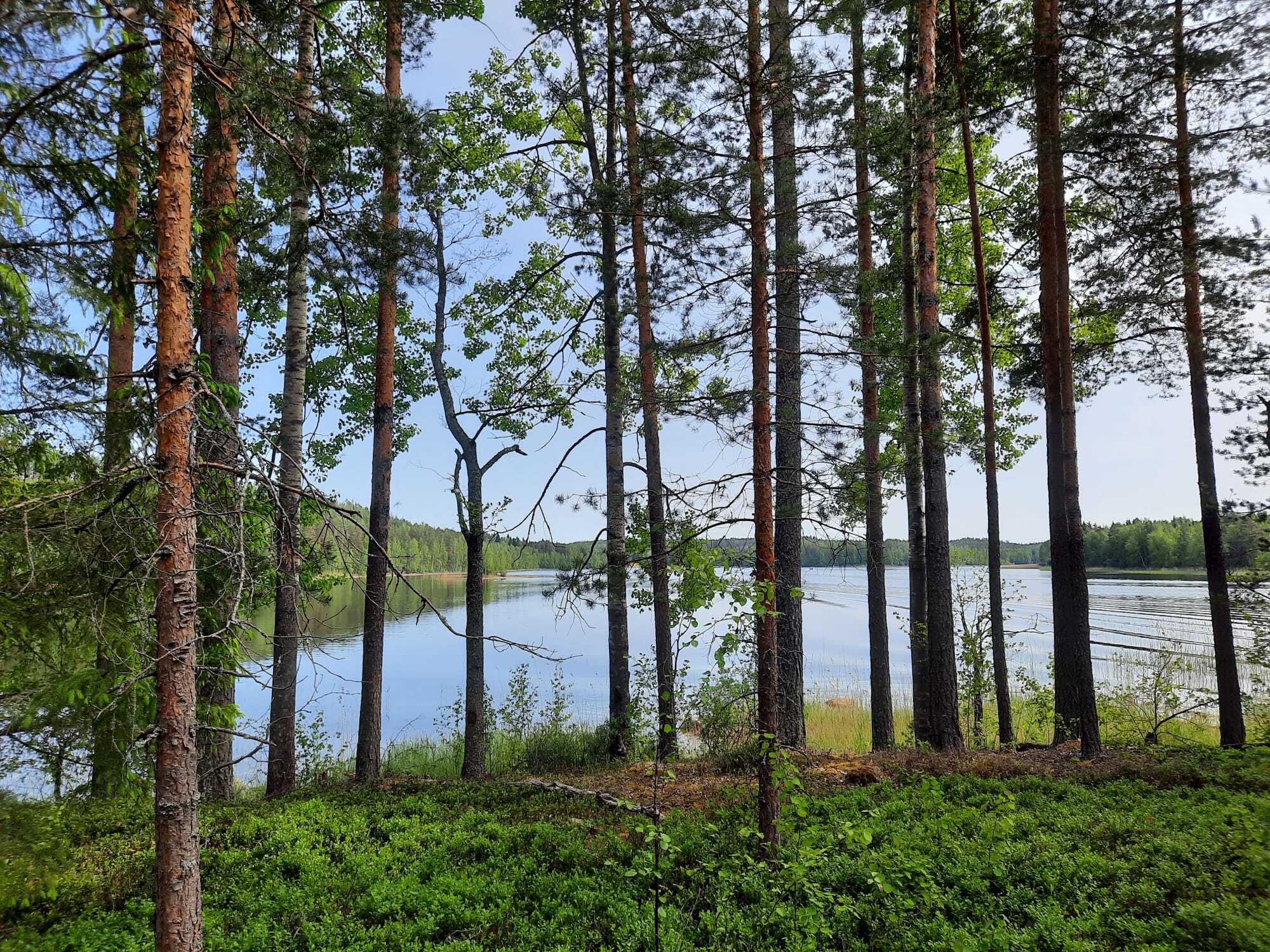 Tontinrannantie 9, Anttola, Mikkeli