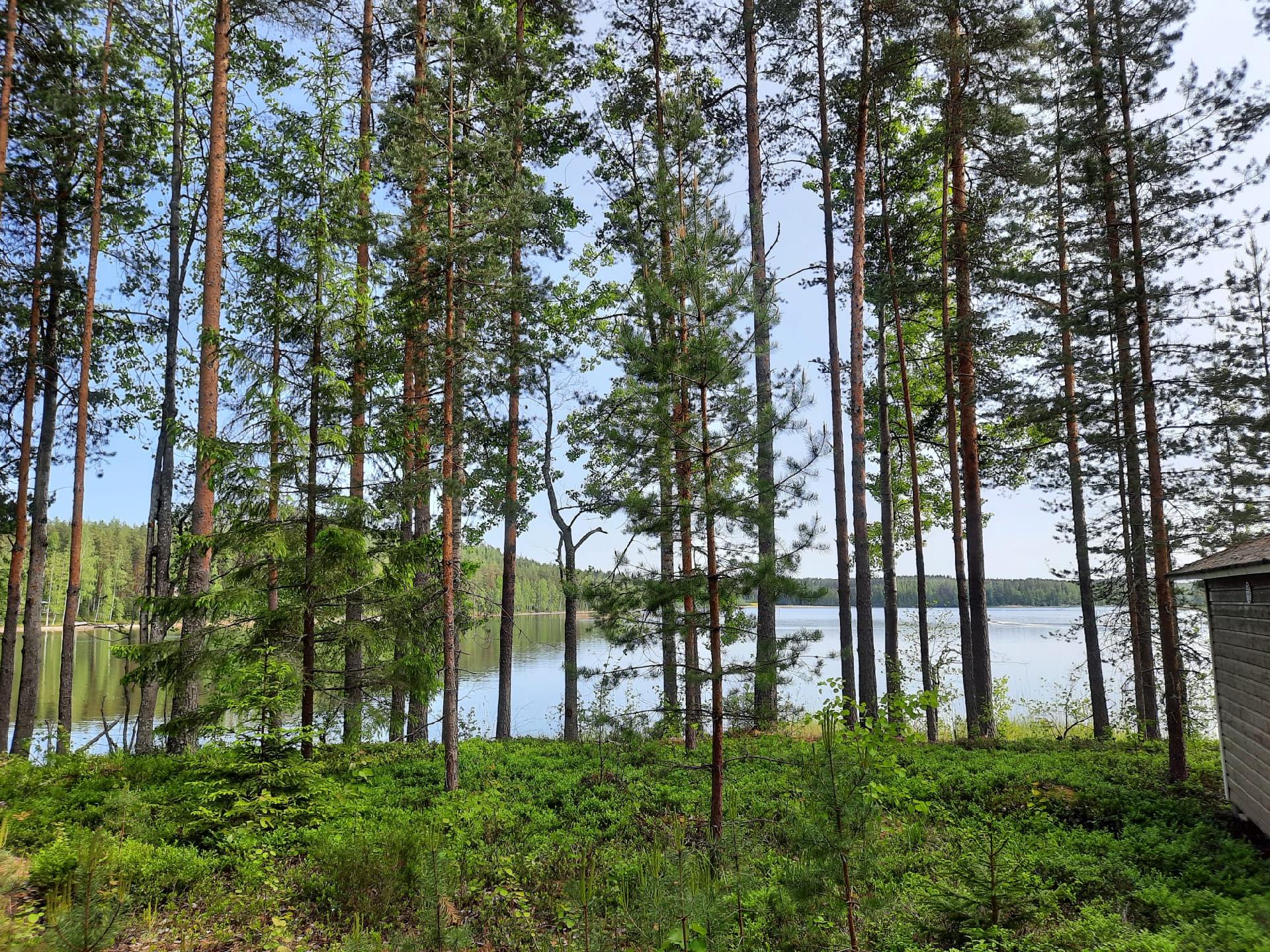 Tontinrannantie 9, Anttola, Mikkeli